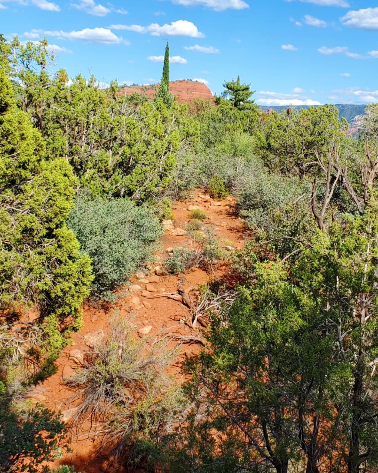 307486136_571929611376483_8630573689056491280_n