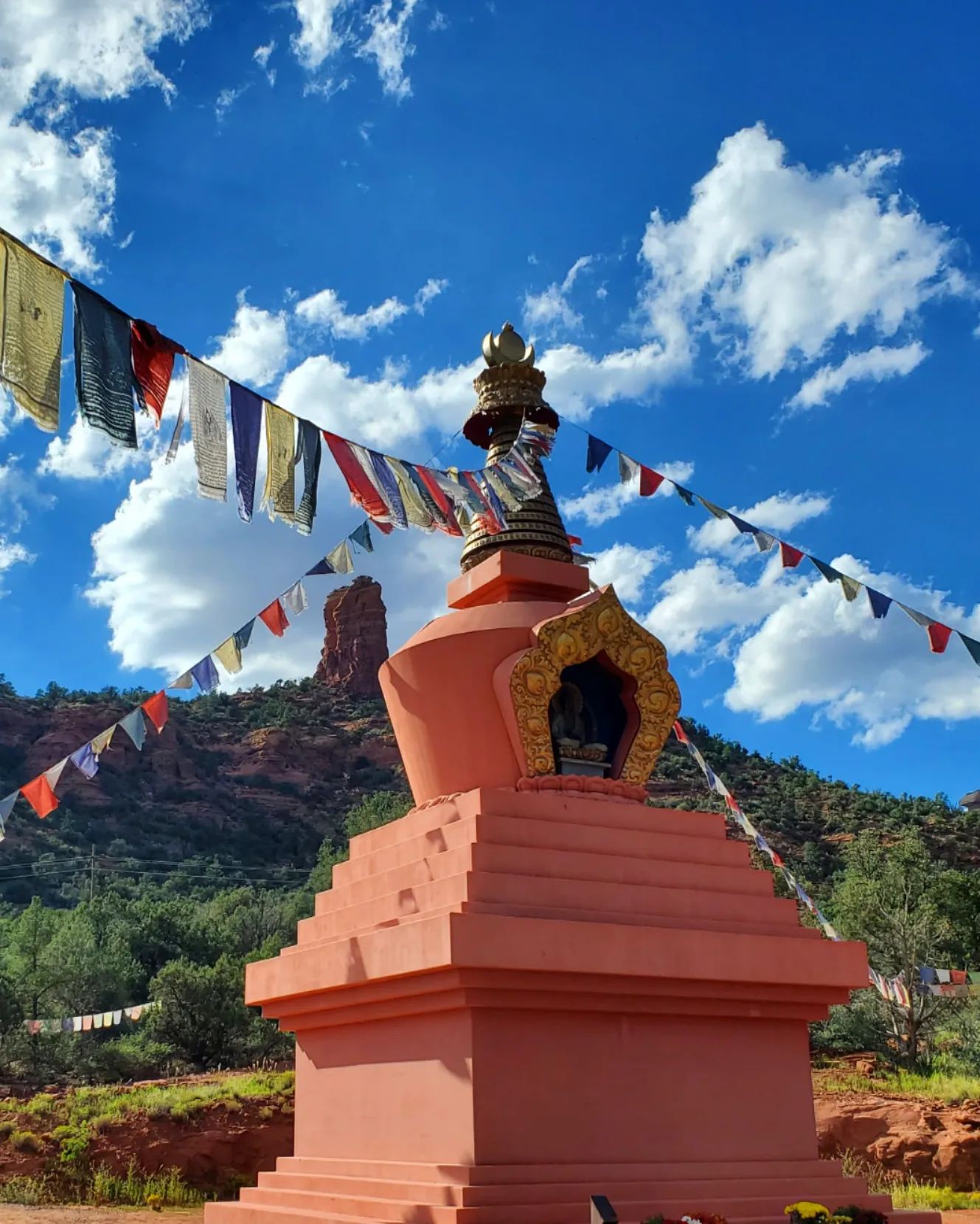 307541250_571929601376484_605872086541241190_n