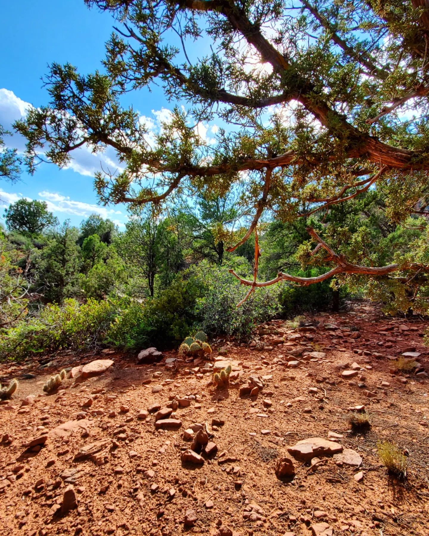 307554188_571929624709815_82943104064917899_n