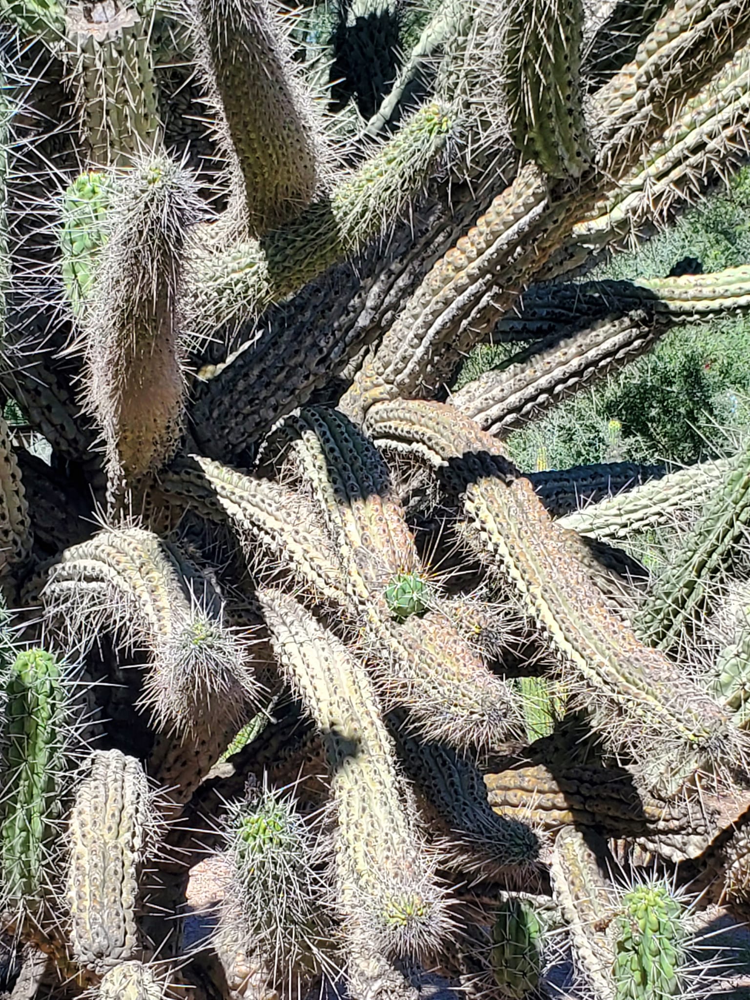 308804618_579368600632584_5494637356195997968_n