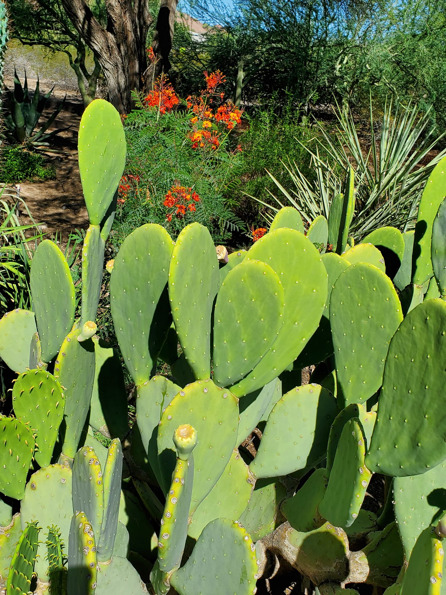 308890795_579369500632494_3965529829859399256_n