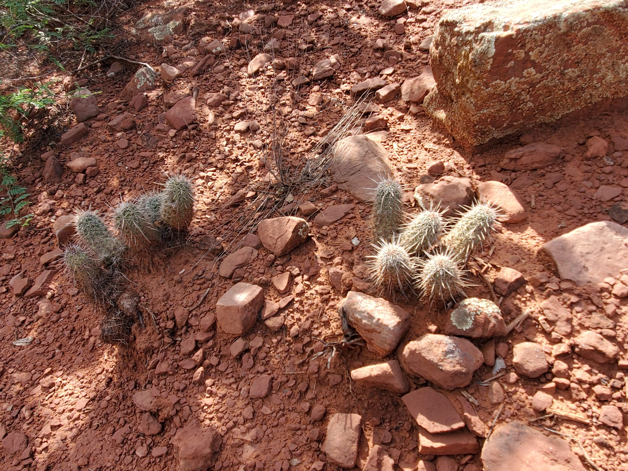 309116795_579384143964363_2996928507072055966_n