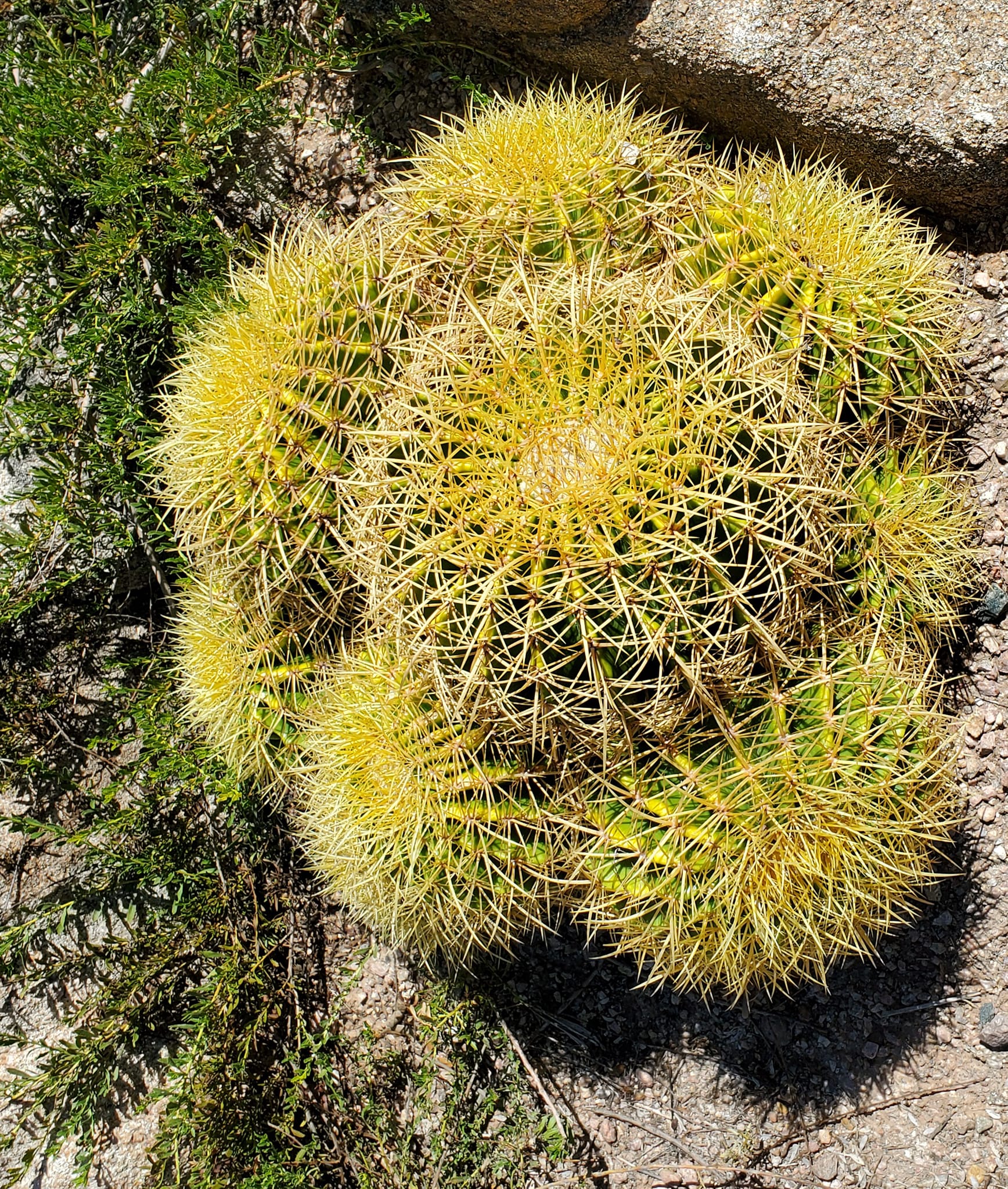 309216753_579366403966137_2634300378440884002_n