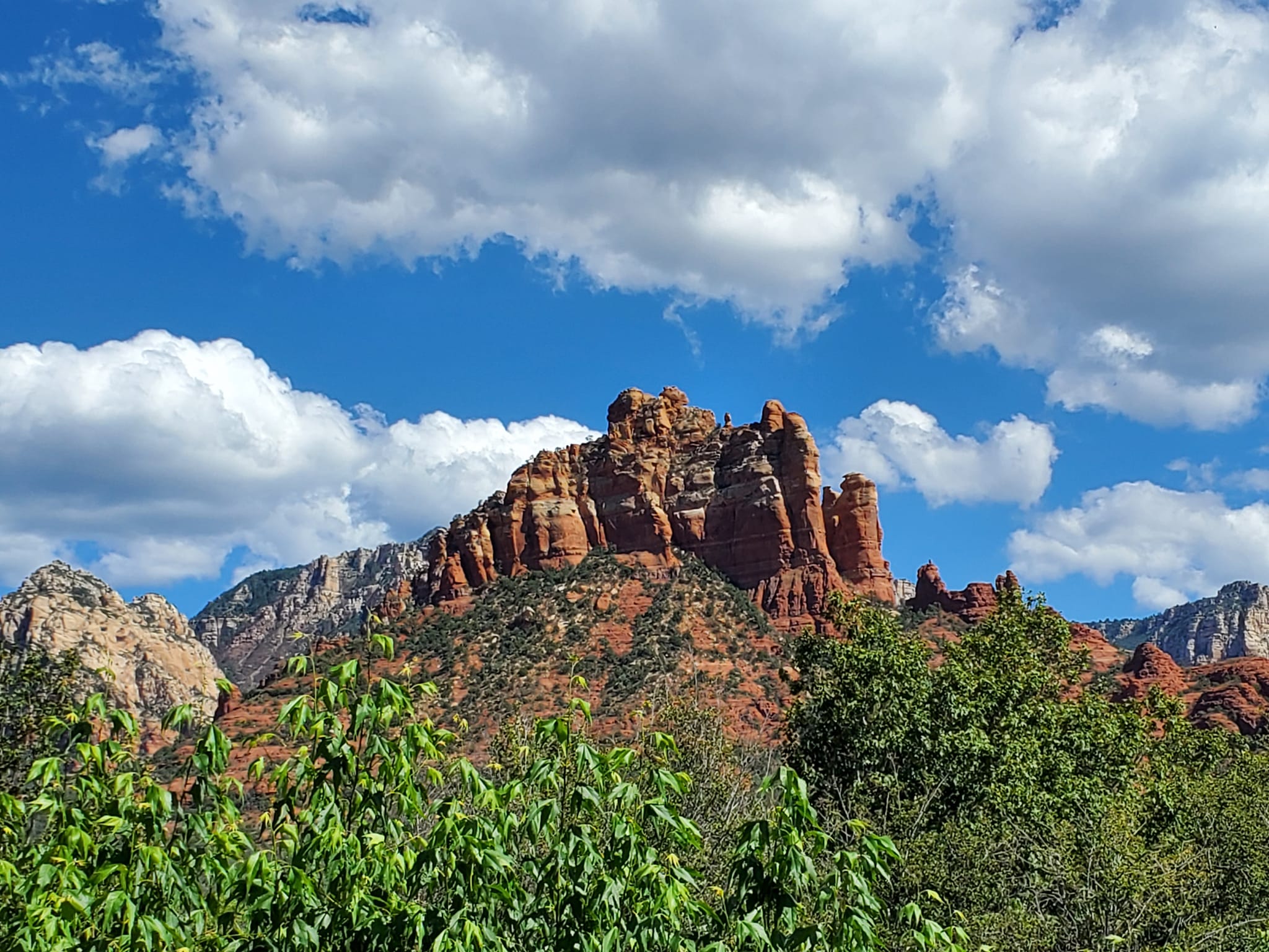 309250328_579392943963483_3422465498297960366_n