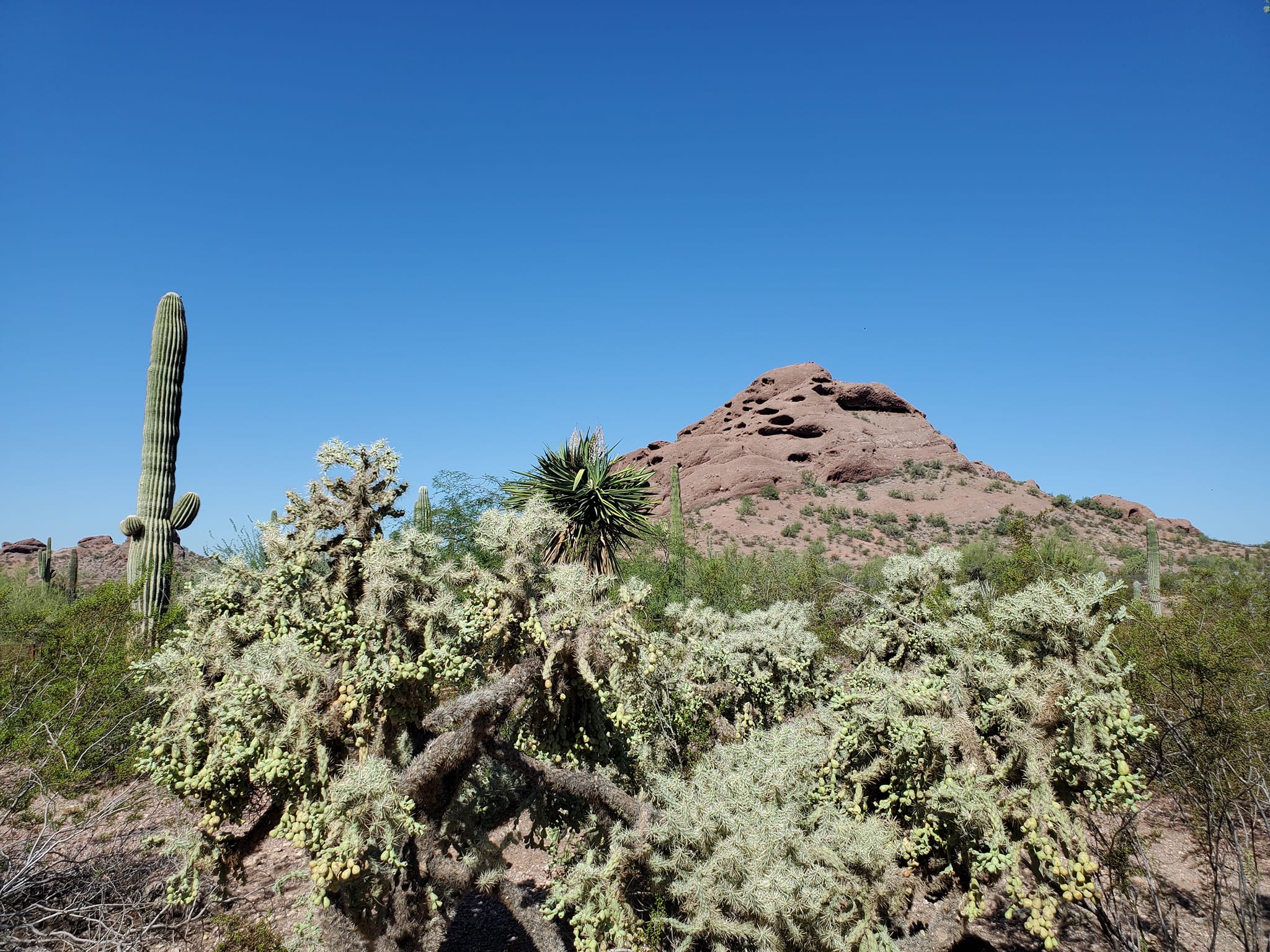 309304370_579371030632341_1350509466659569307_n