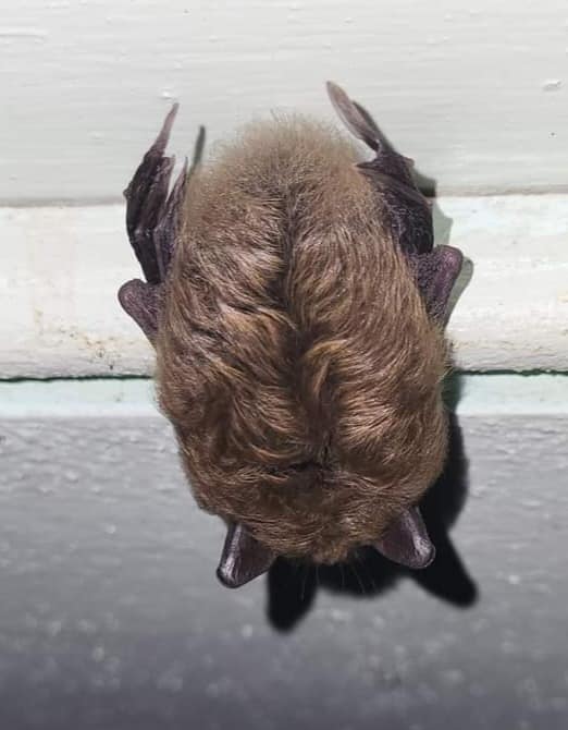 309322350_582581340311310_7163509554096588238_n