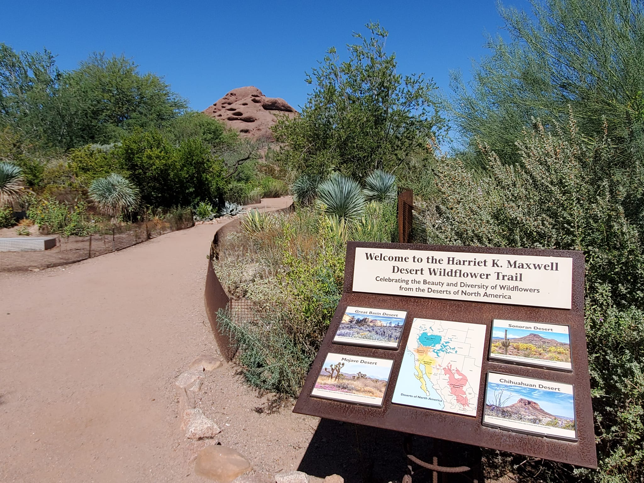 309432214_579370030632441_2250334540932890590_n