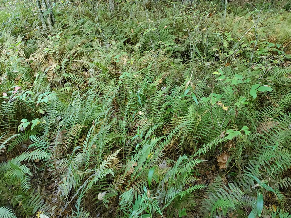 309507086_582582420311202_181221391104325177_n