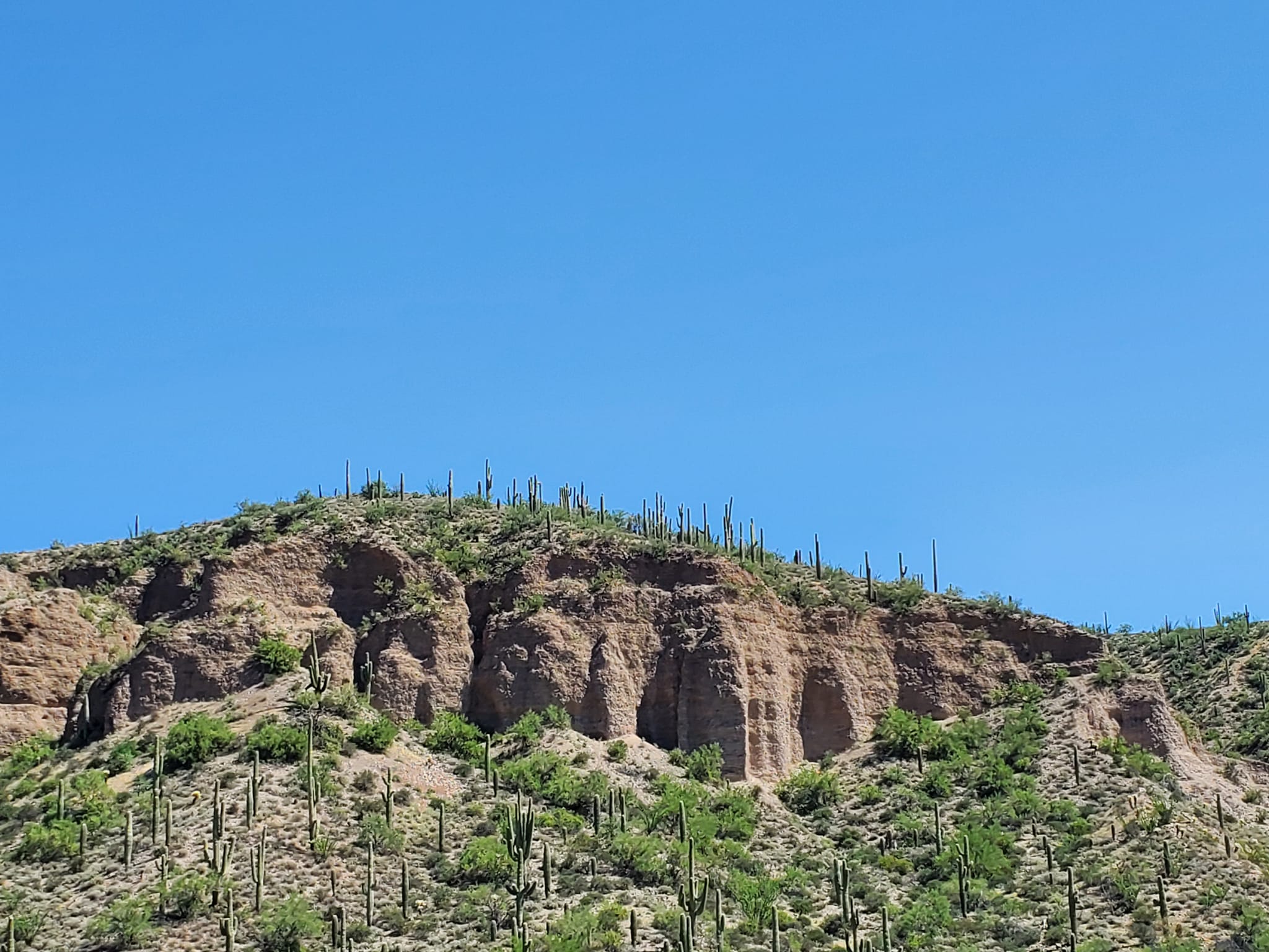 309137074_579400873962690_939124876626167014_n