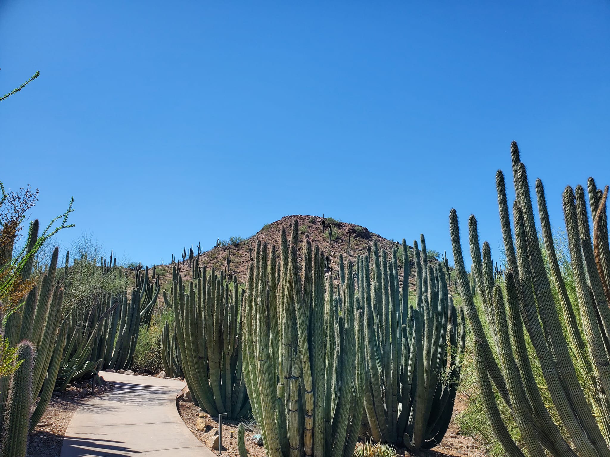 309204244_579367630632681_1166431499161803670_n