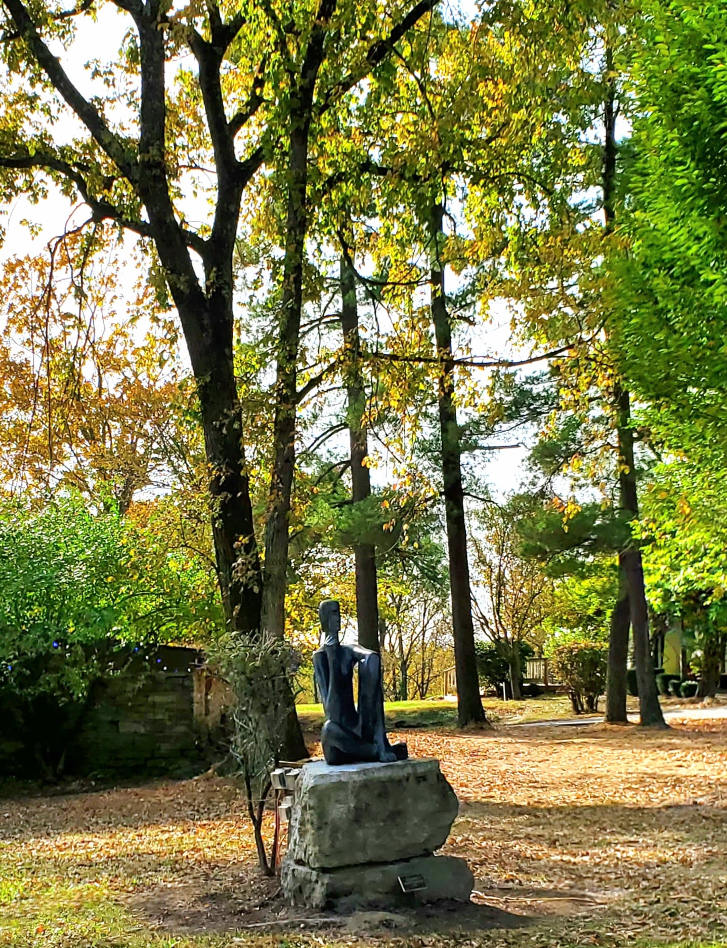 311702247_601438095092301_3469342188908895479_n