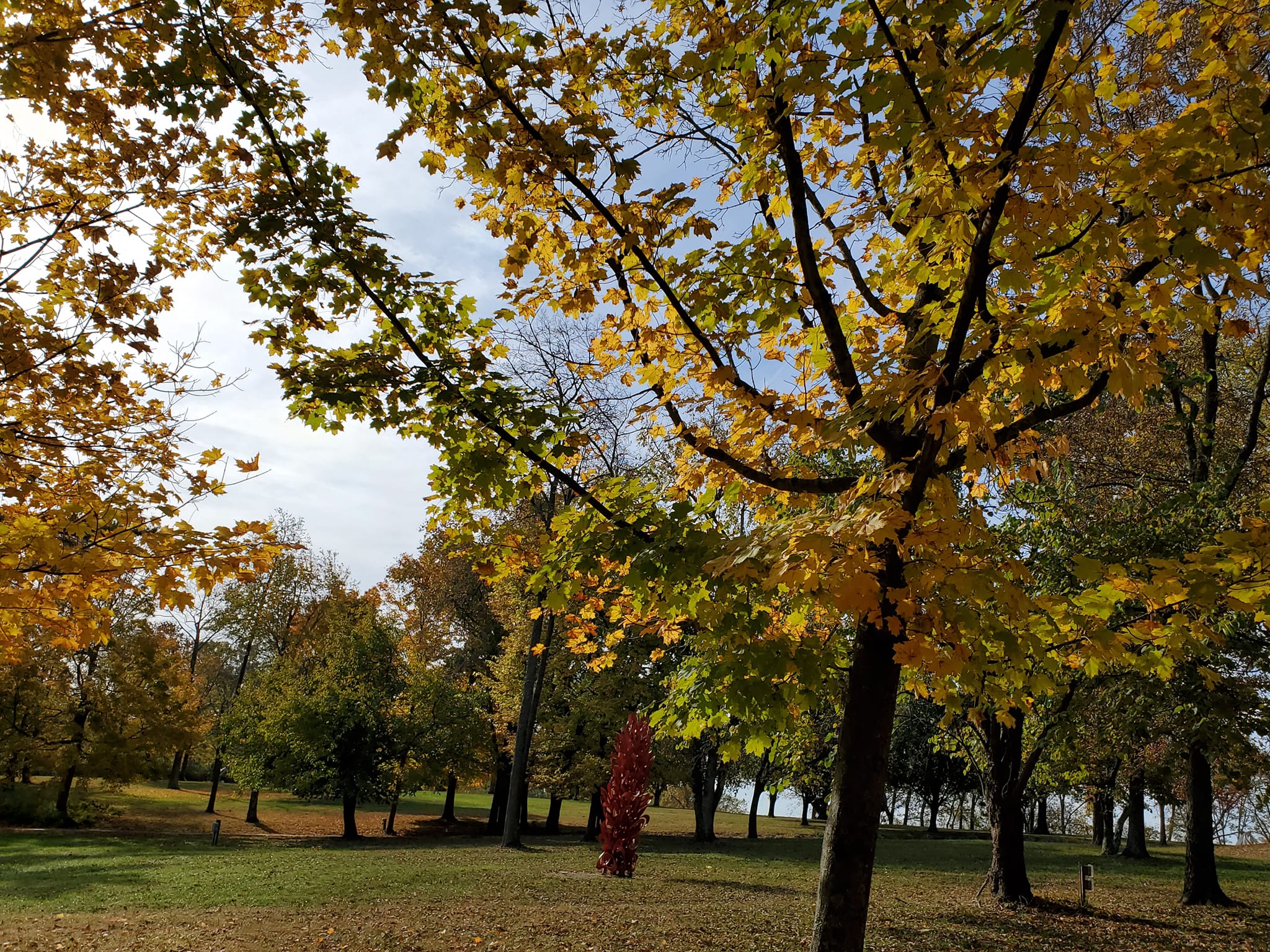 312555302_601425388426905_5917036305313838012_n