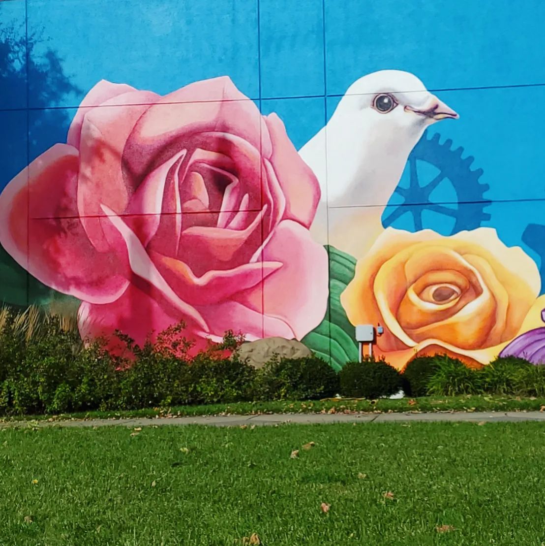 312580764_599225075313603_8375290436877684967_n