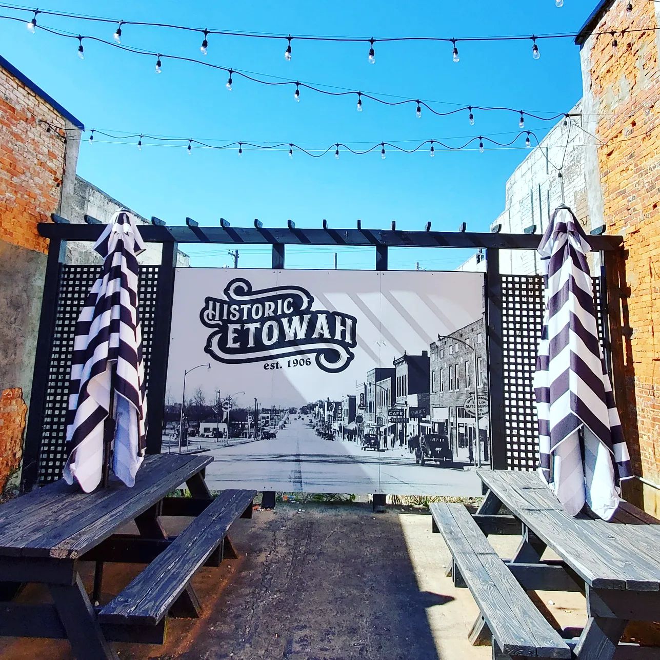 a311229613_589101099659334_4593315371769072824_n