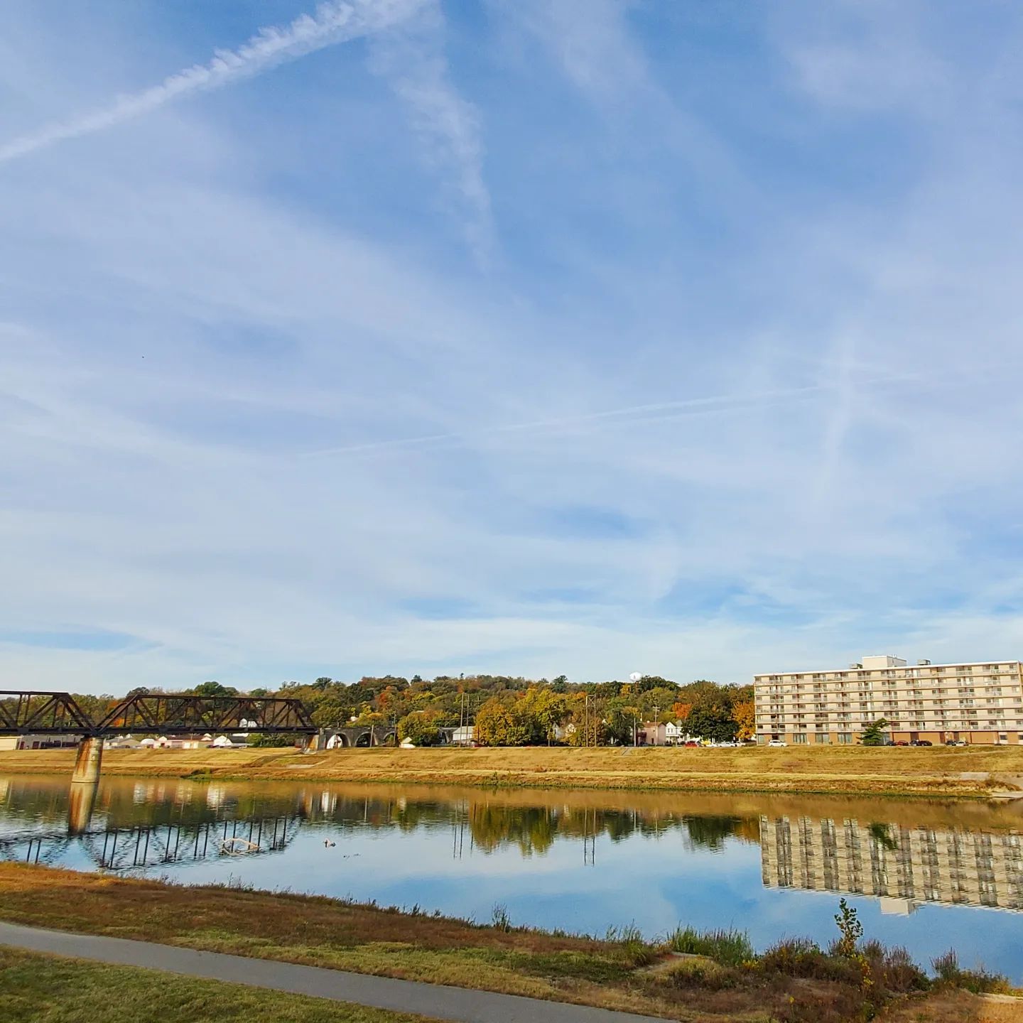 a312494061_599215918647852_7678622714530636435_n