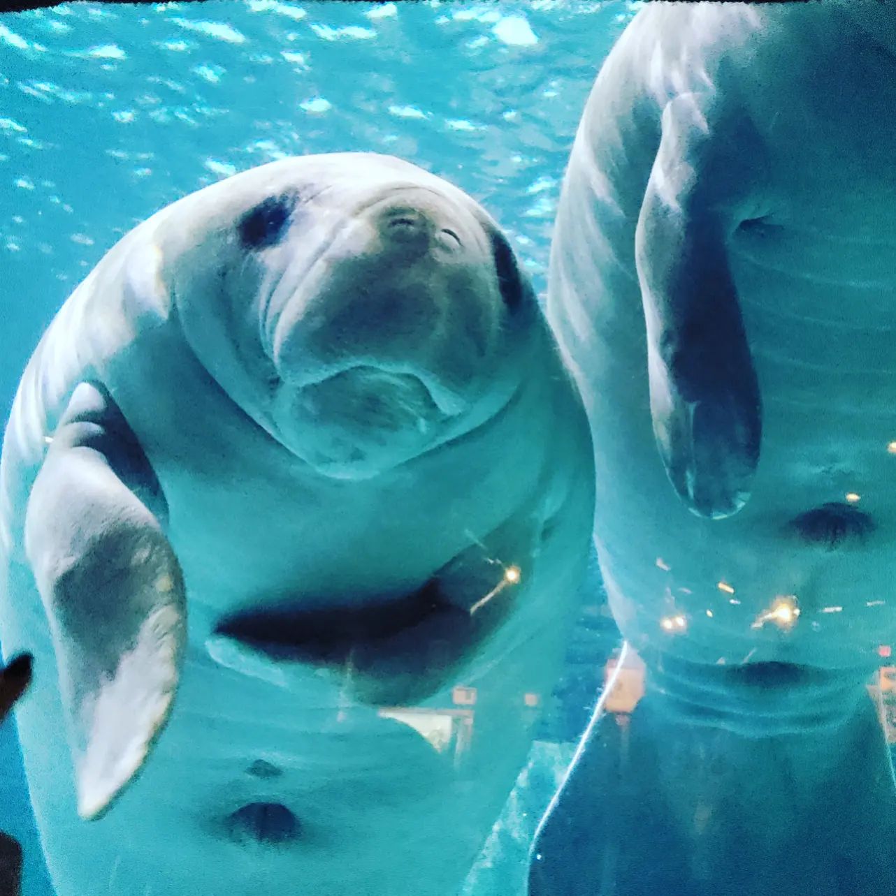 282017602_493727529196692_6667550064811643441_n