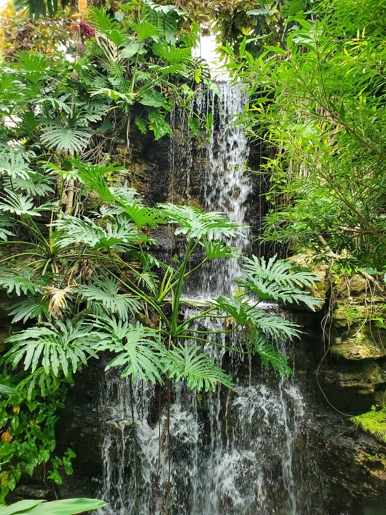 312381530_598466582056119_5489457799683692428_n