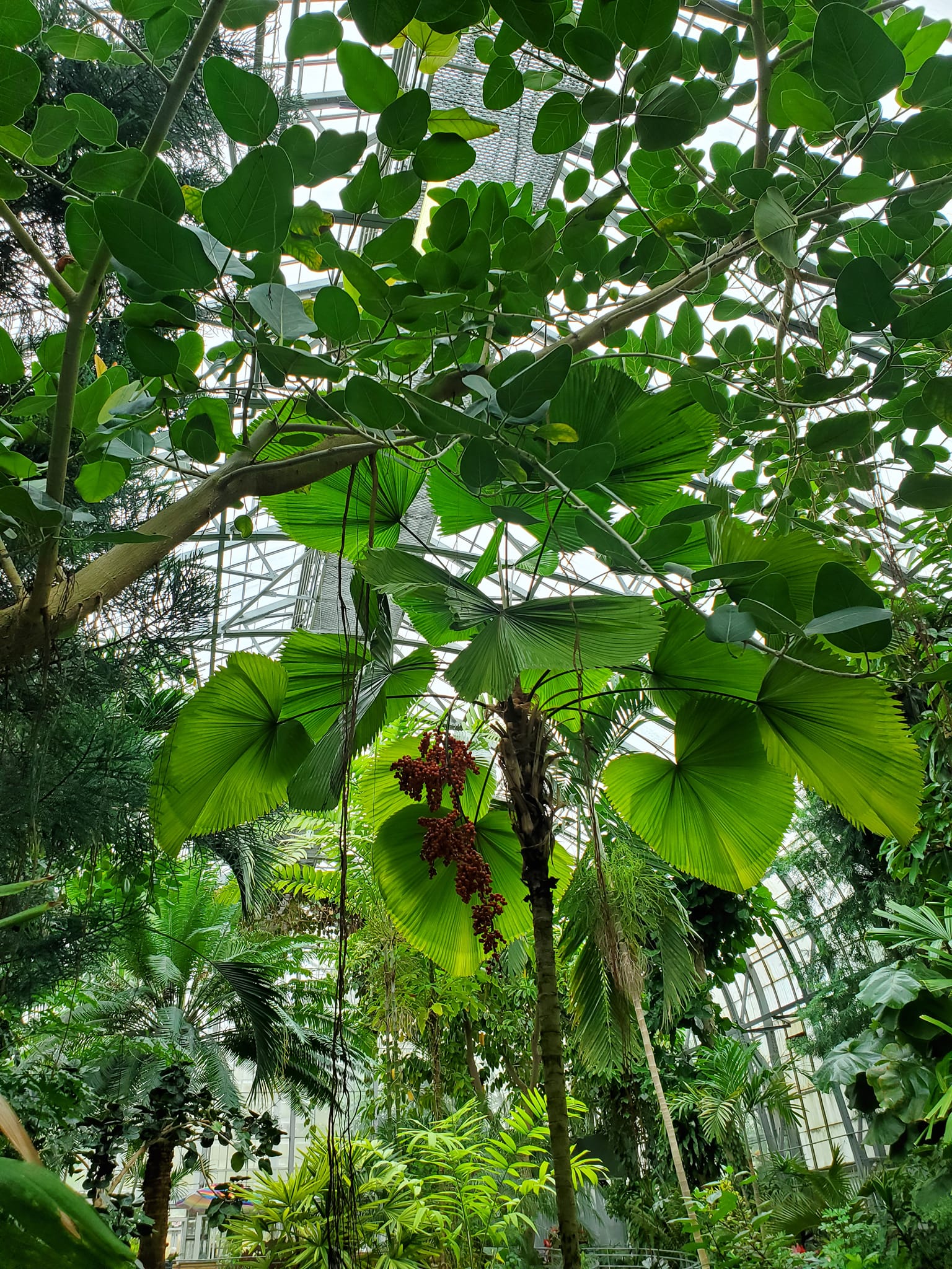 312571868_598466185389492_1569803983999430495_n