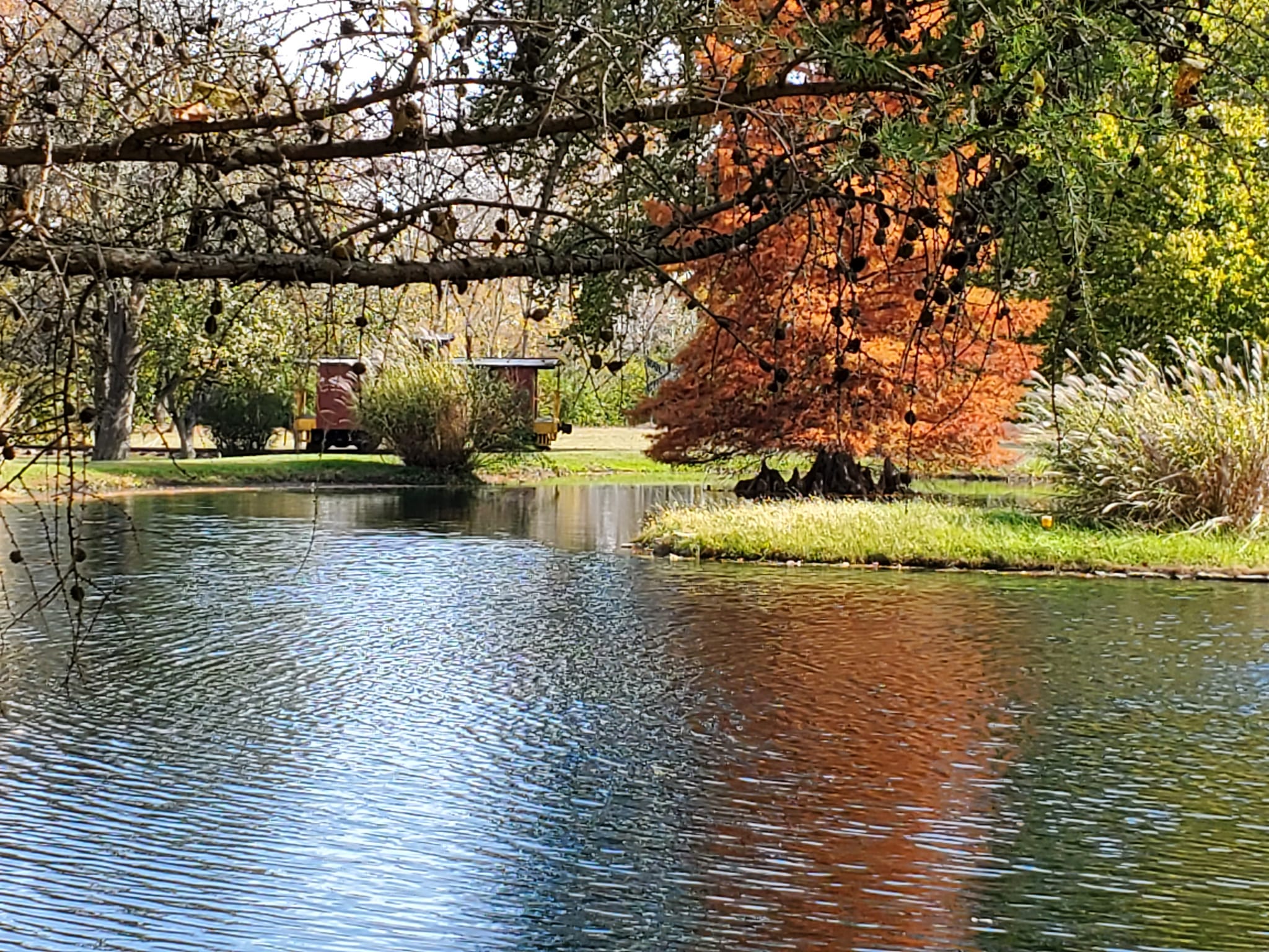 312941078_601359631766814_6922604654578194877_n