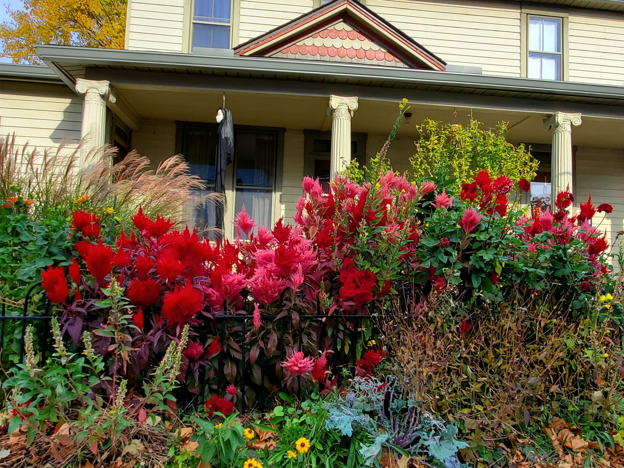 314410446_608715197697924_8204422867645154022_n