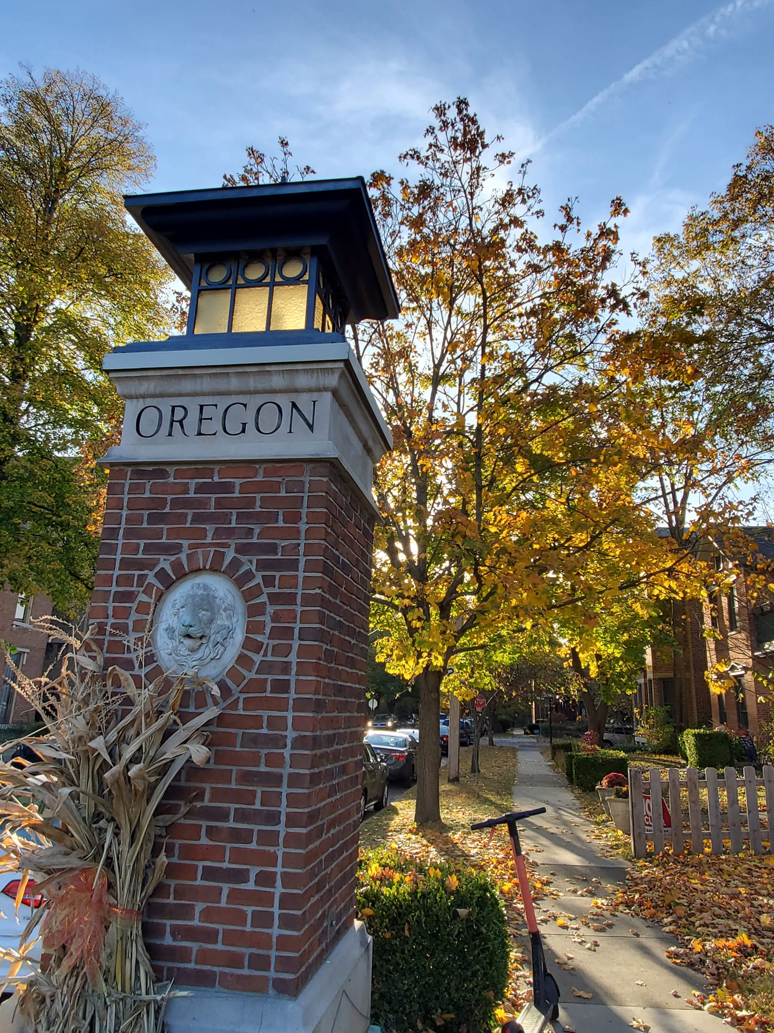 314562926_609350080967769_9186855190485152938_n