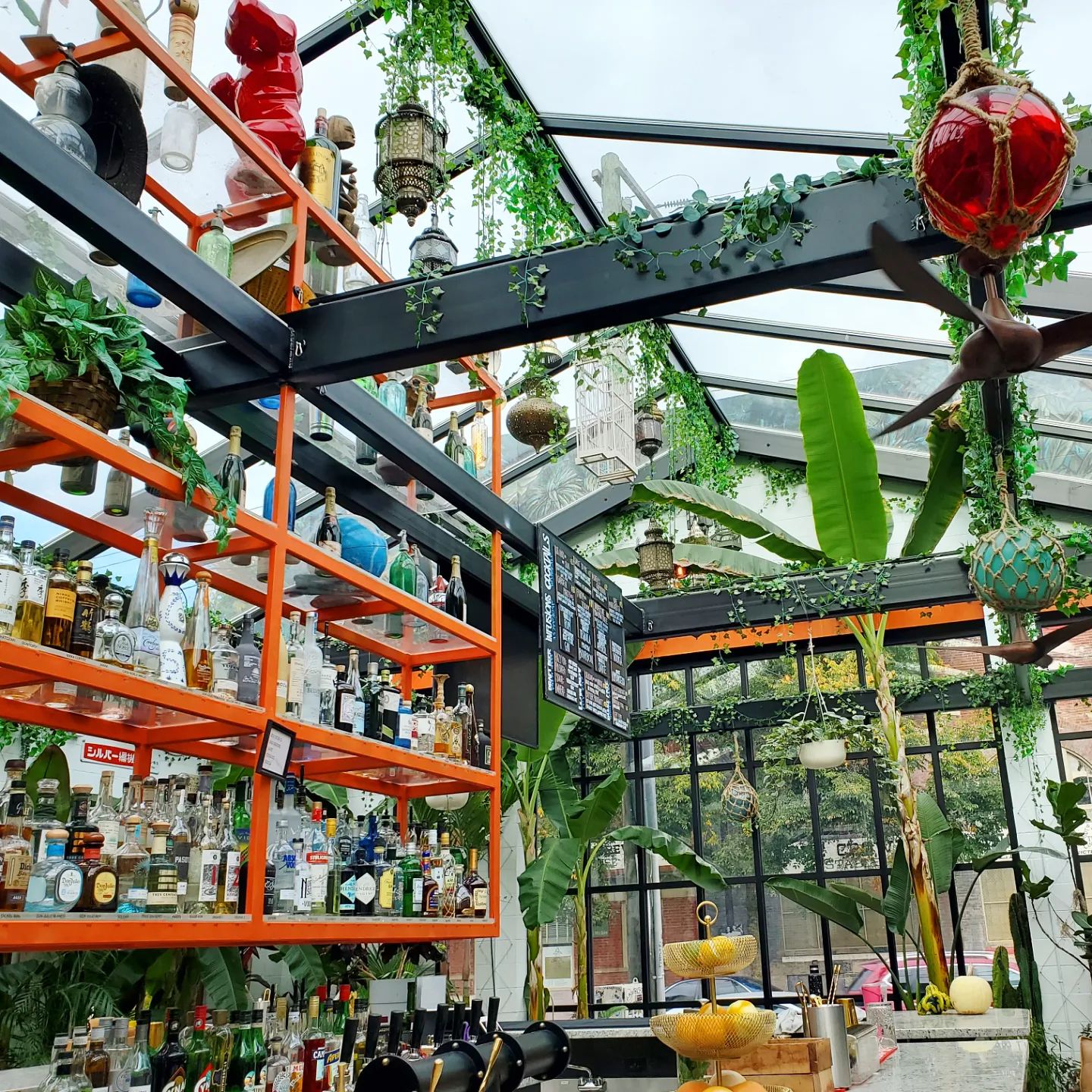 a312387260_598400862062691_1707852053834563435_n