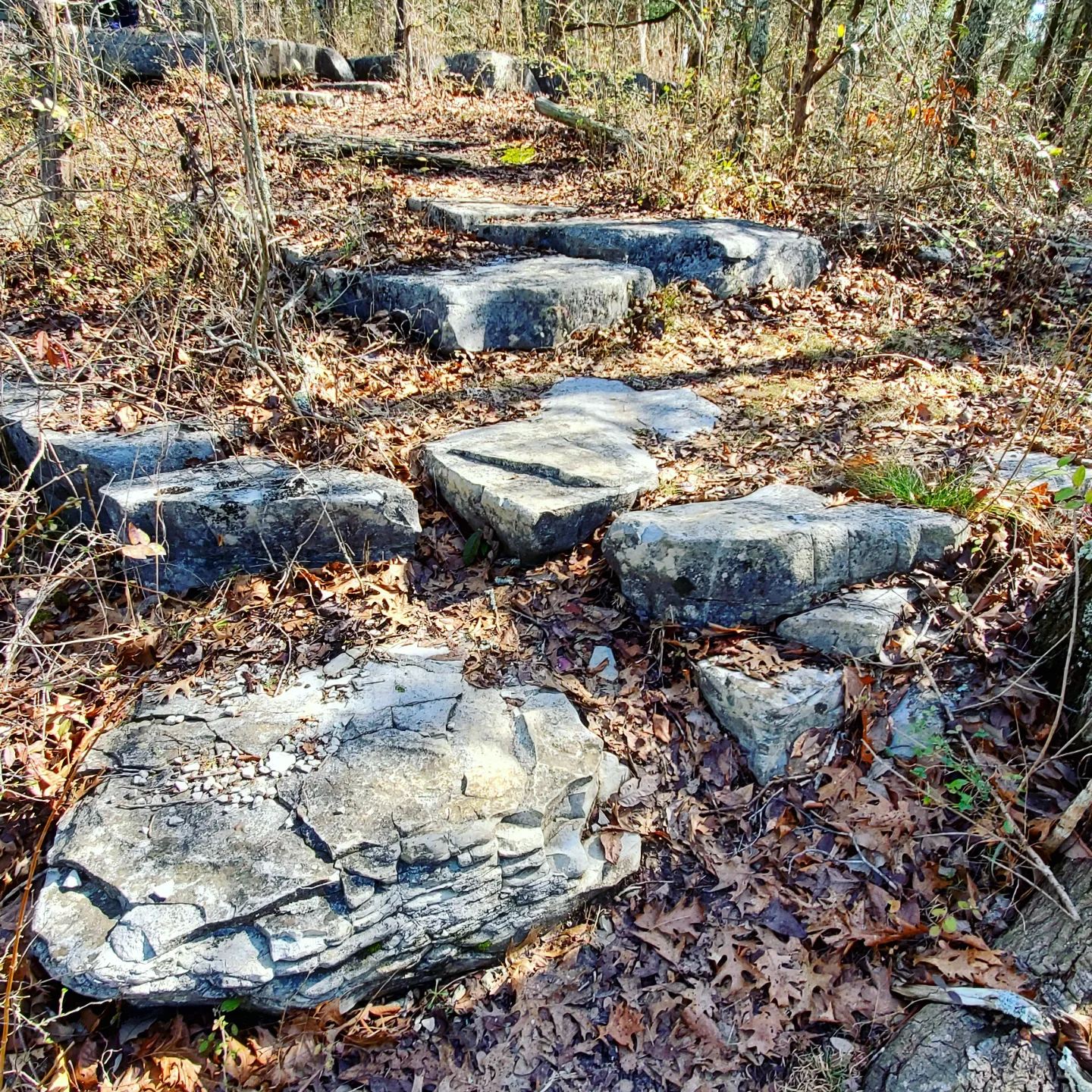 328837132_762608448820553_1620128684698052734_n