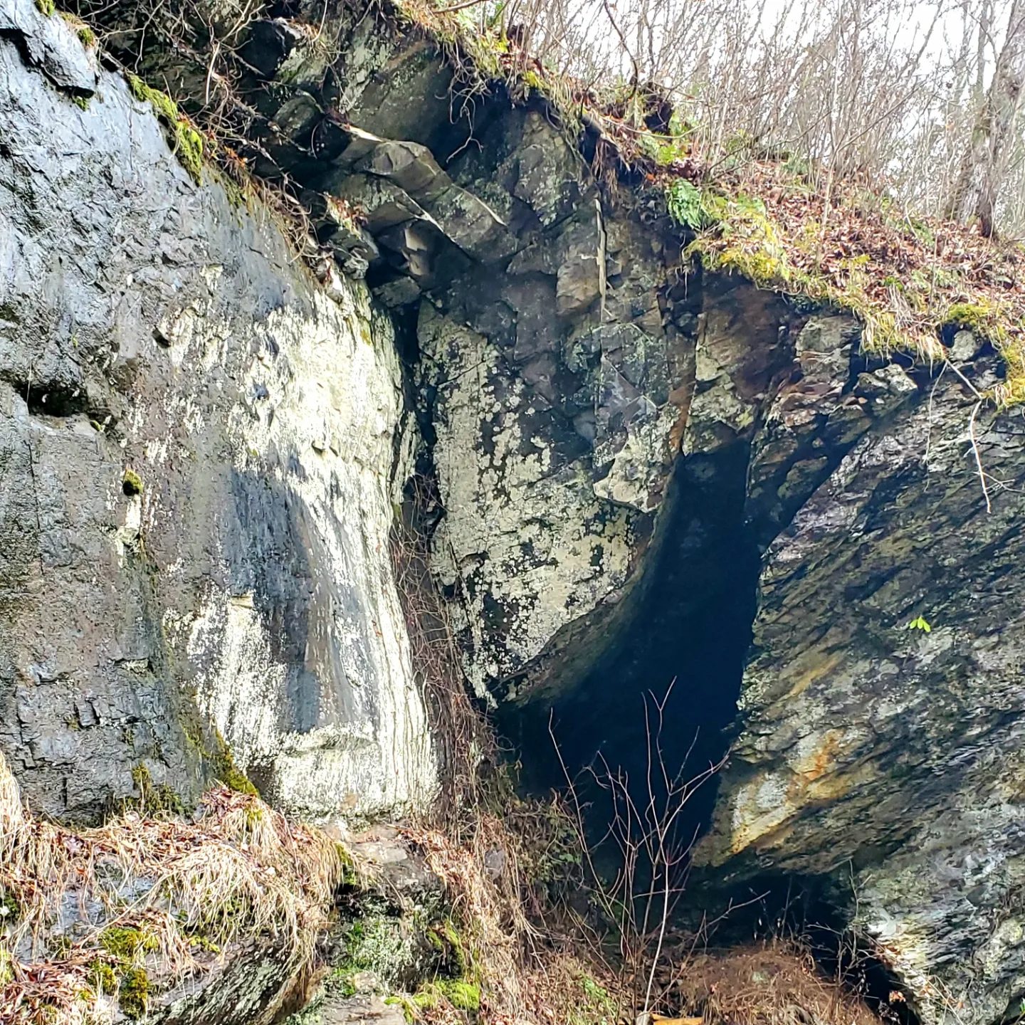 328851129_500632438894438_1733436786399156218_n