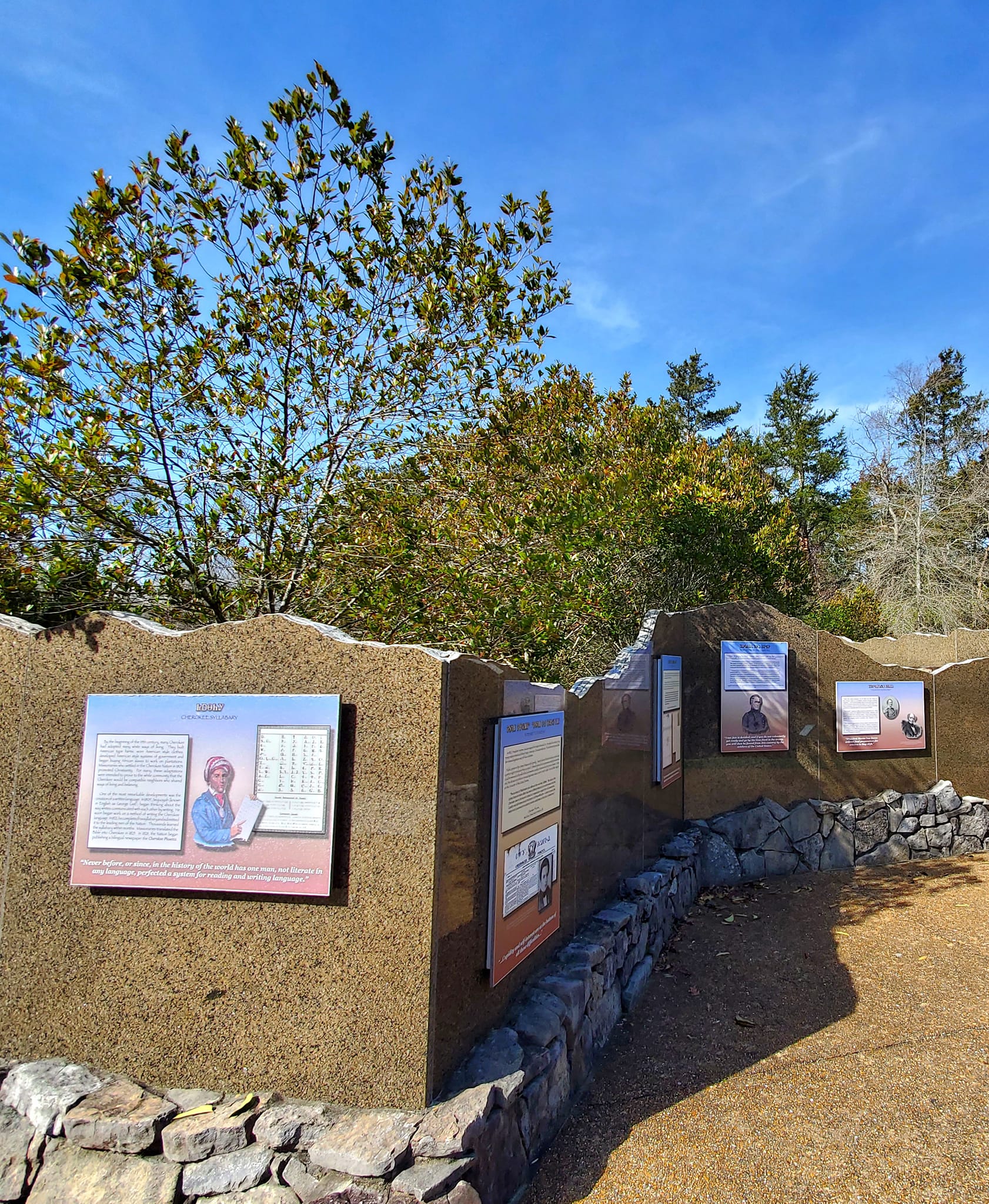 328876512_1528927457617490_3330567506039370445_n