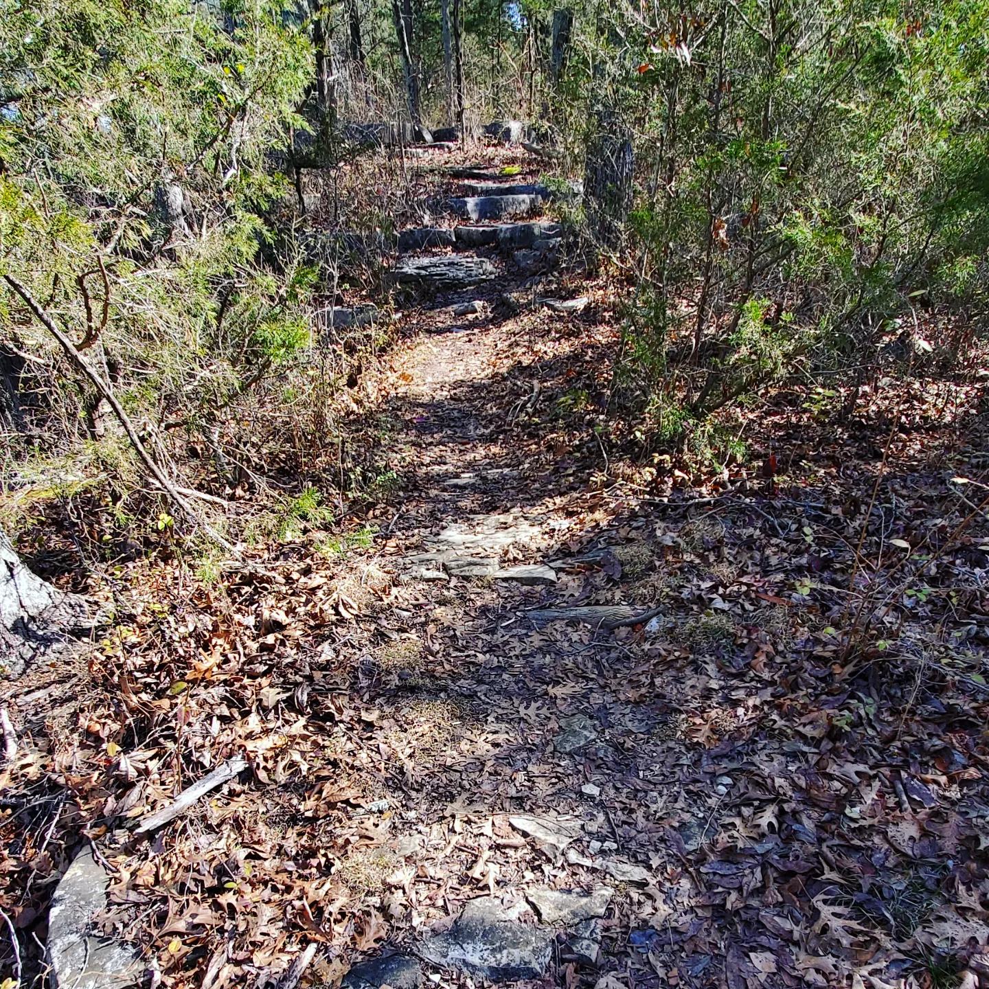 328996294_1513173082505833_8304736781090792882_n