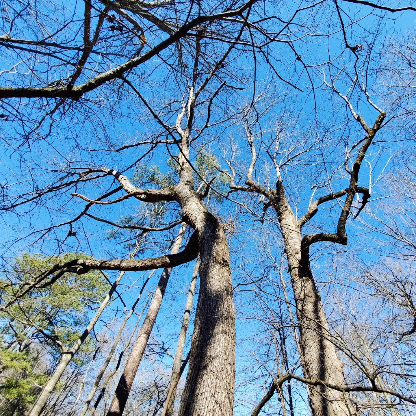 329001706_642036597925795_441825360306571015_n