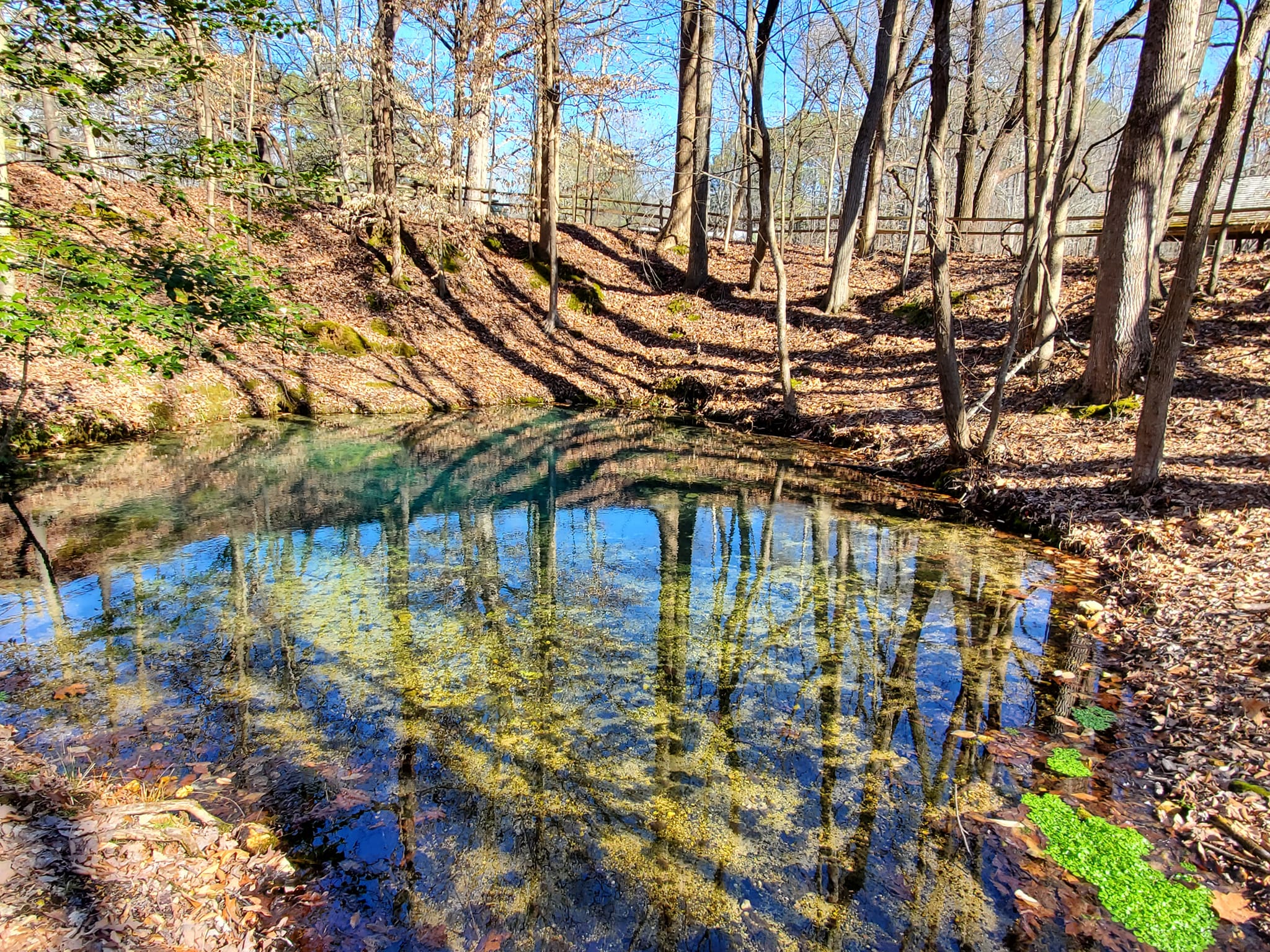 329122497_1175739109970235_7366691980213029223_n