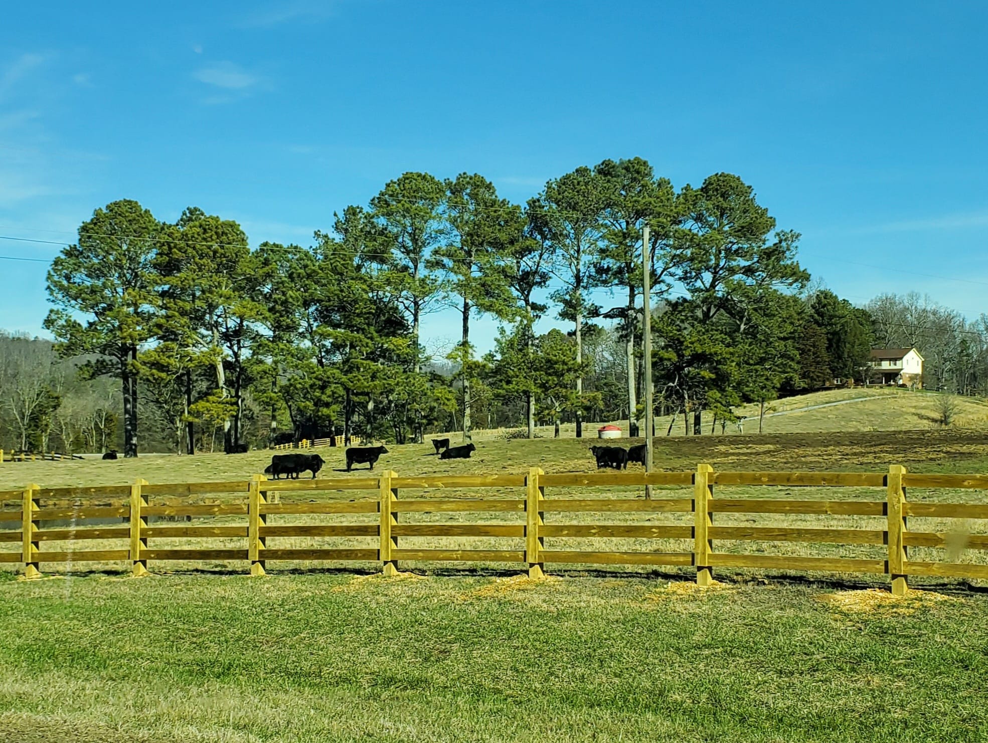 329202301_1154532488542998_8038537789889191946_n