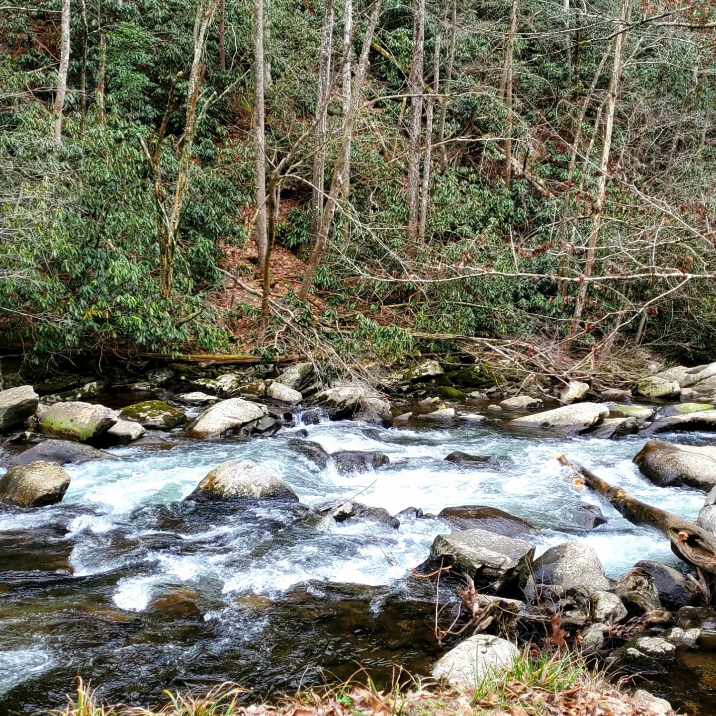 329916883_605202114790497_2359769025285412538_n