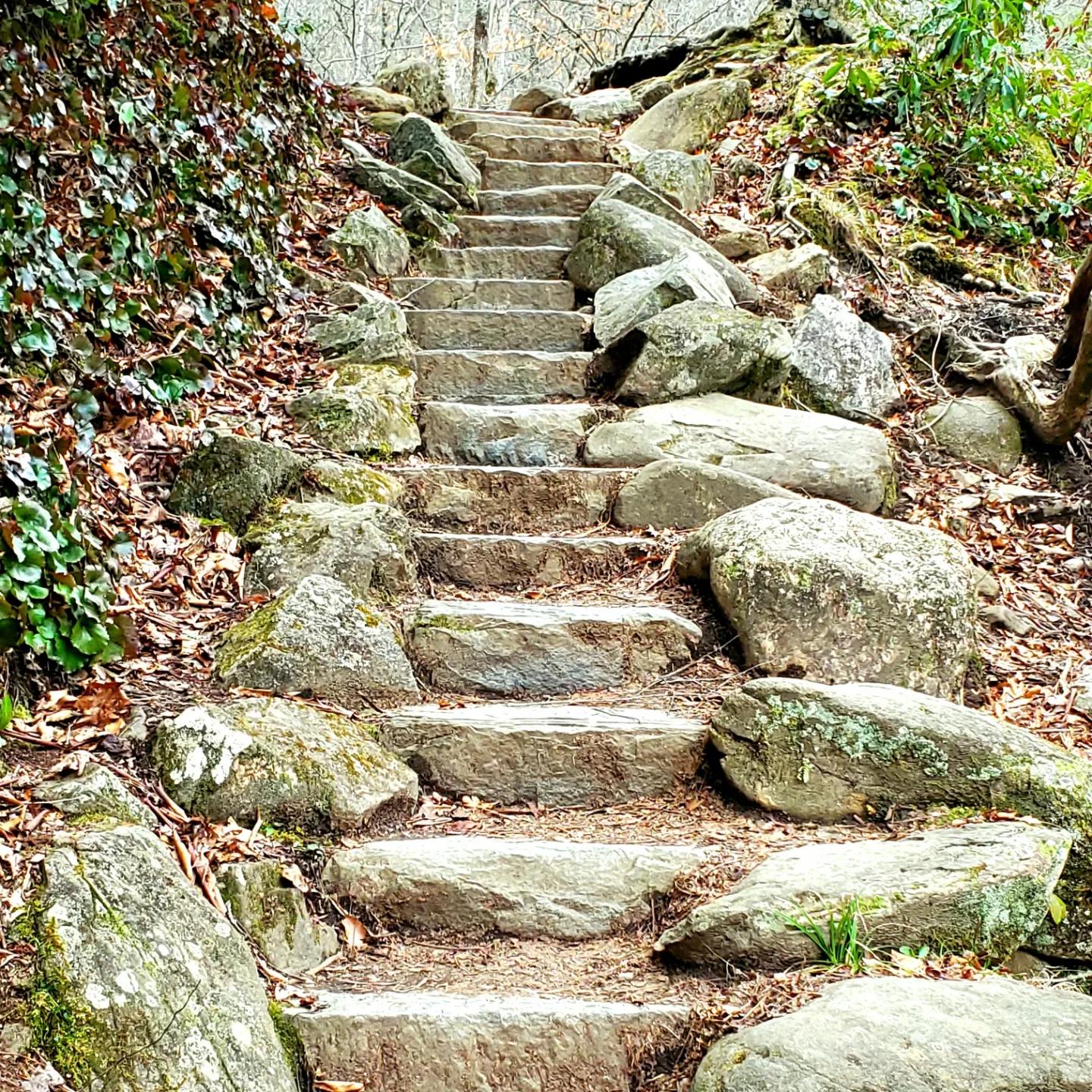 329945488_655203573073372_8360477442065379935_n