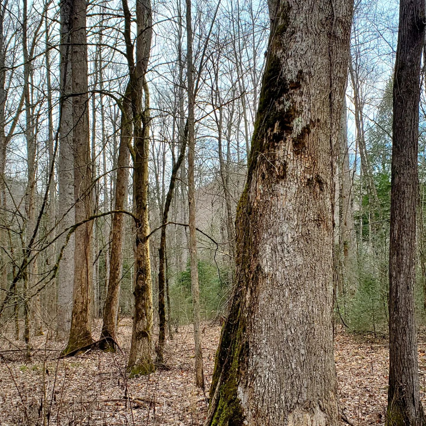 329997920_1244957059432302_5680545449470089893_n