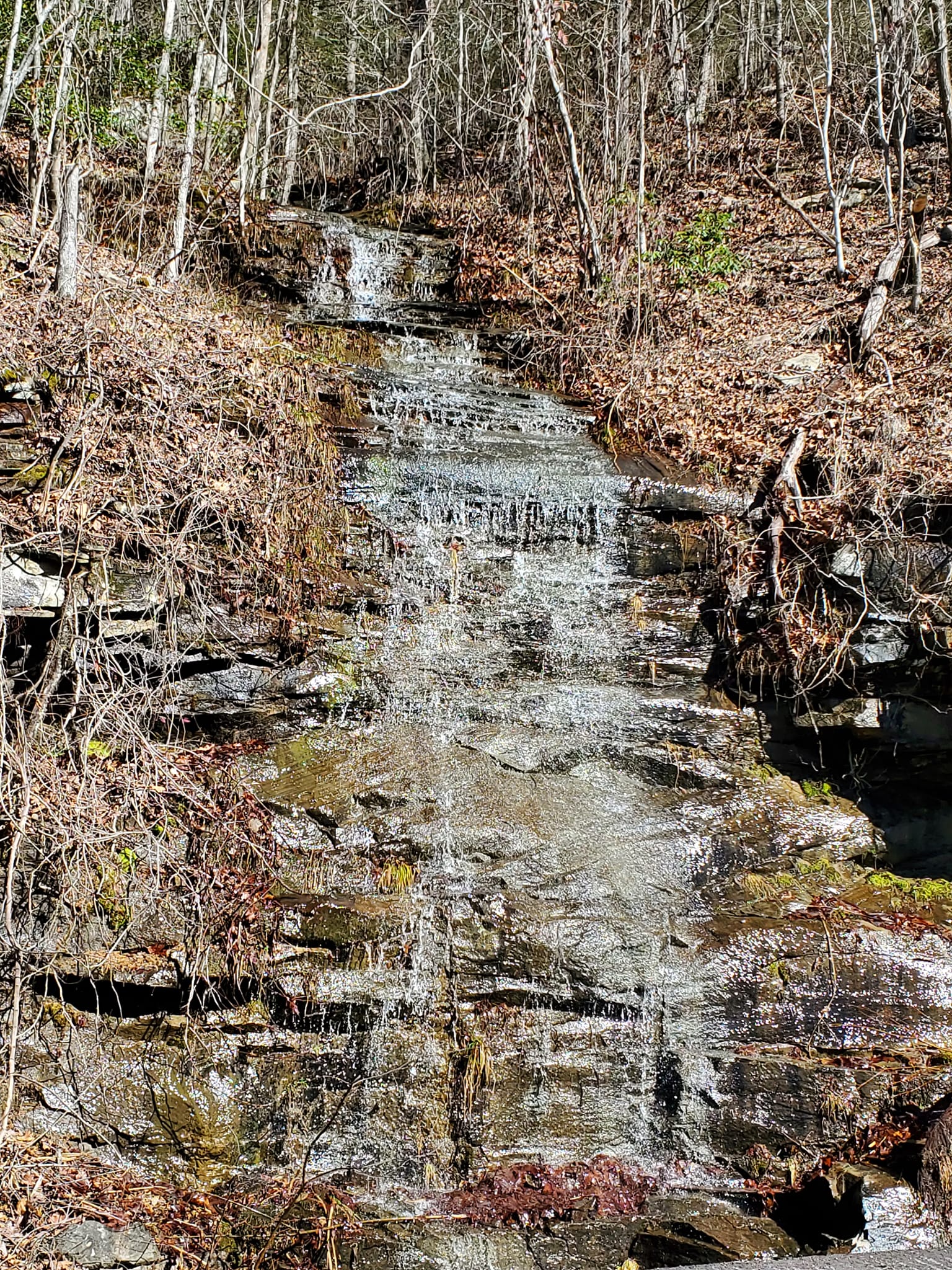 332082709_542854717940852_579752702814096940_n