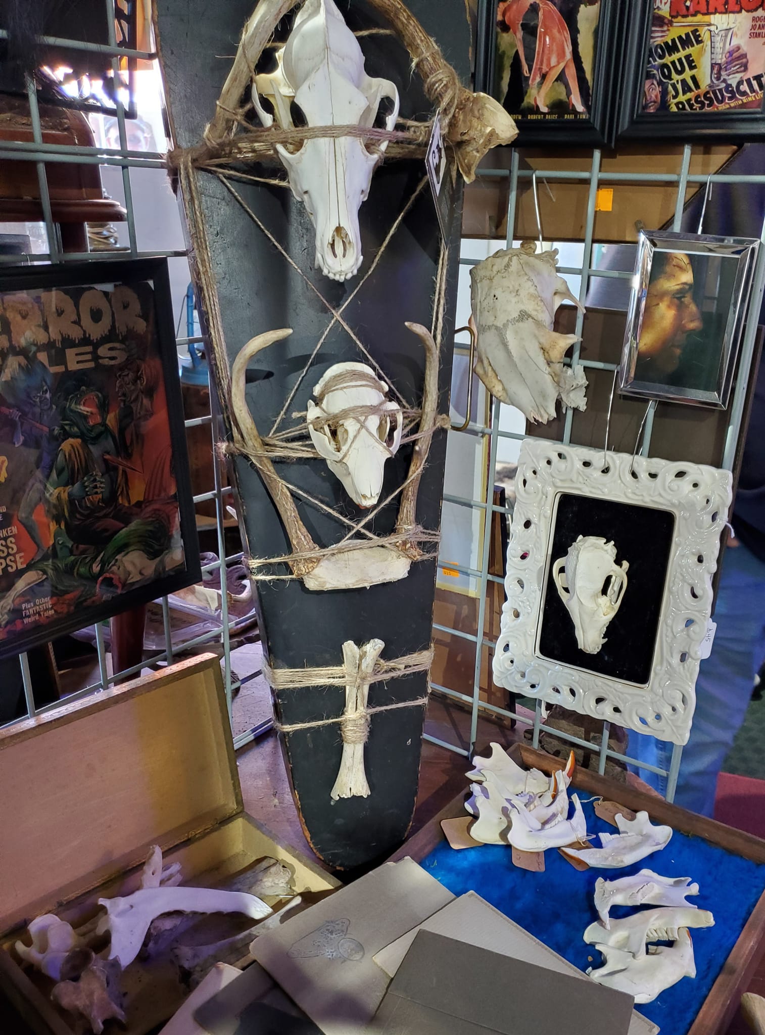 332203512_726748769068910_5783992125503290581_n