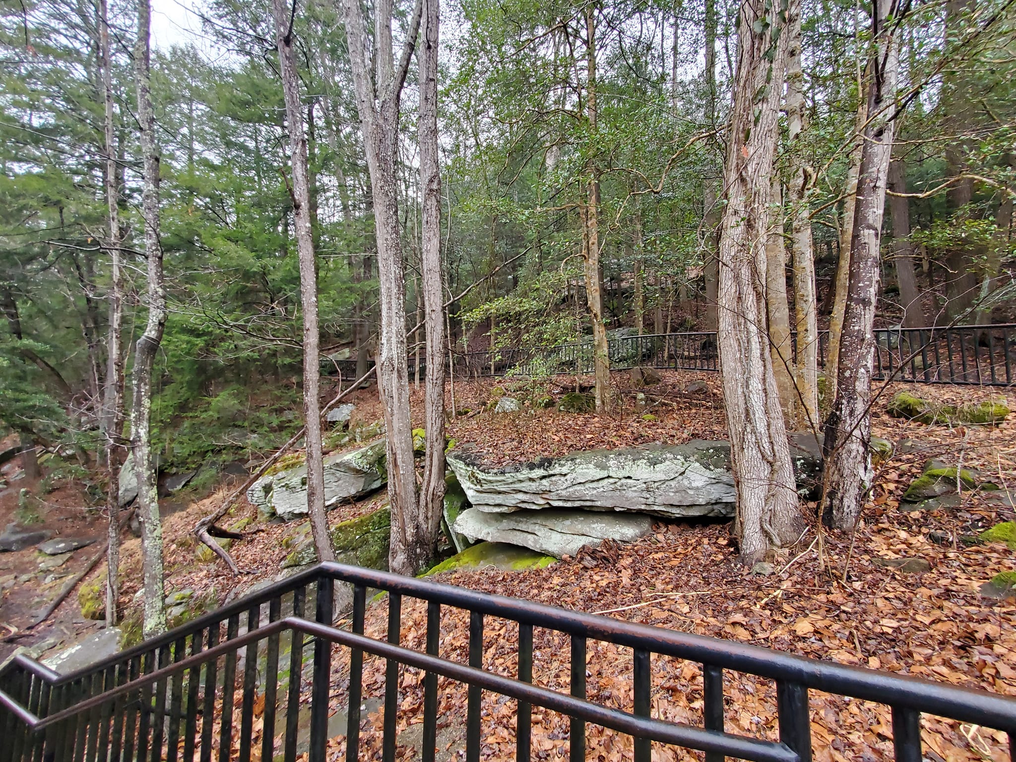 333586253_733147028415163_6073213834480861599_n