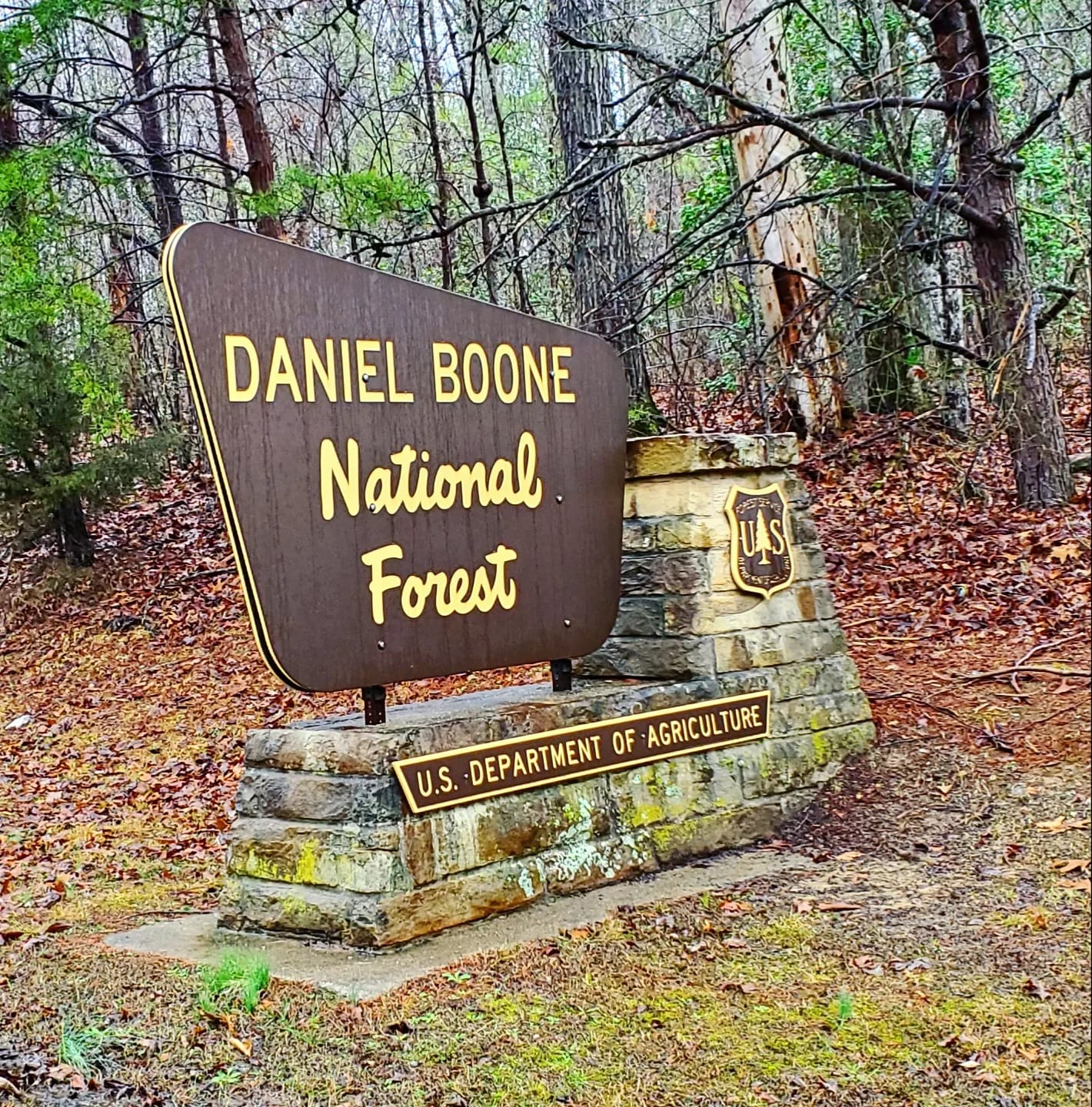 333650523_572644171593534_4439200792444544770_n