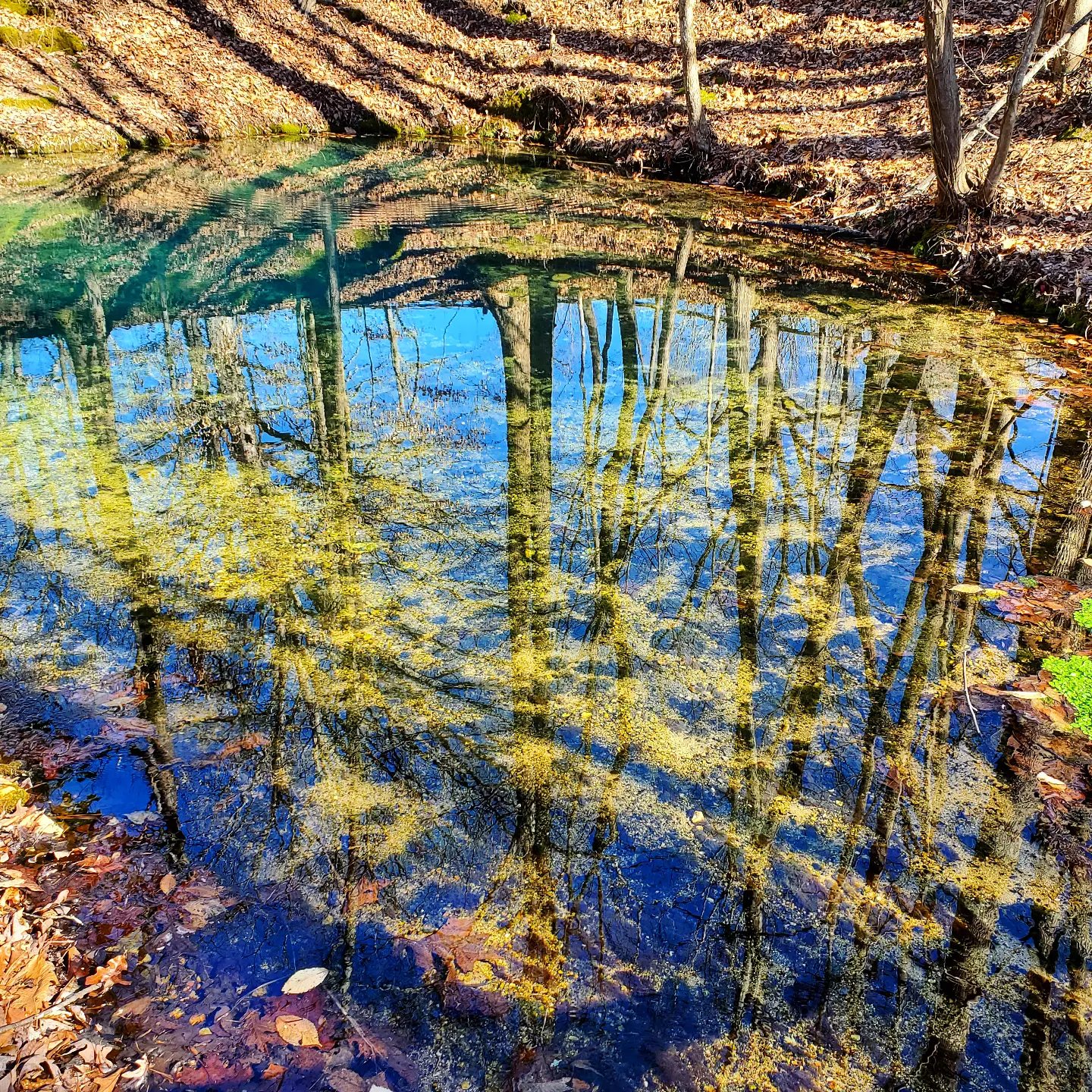 A328774554_526443486018926_6183883355432729681_n