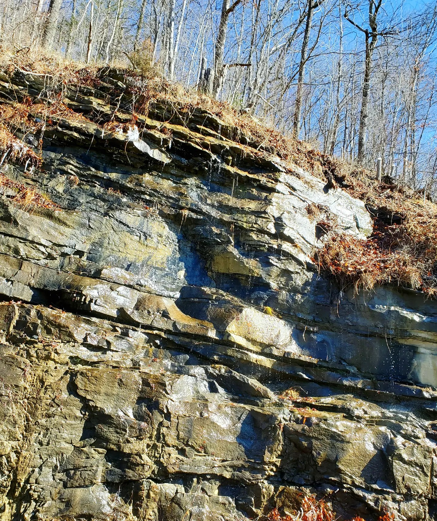 A332153427_879692013088946_3857659335634807675_n