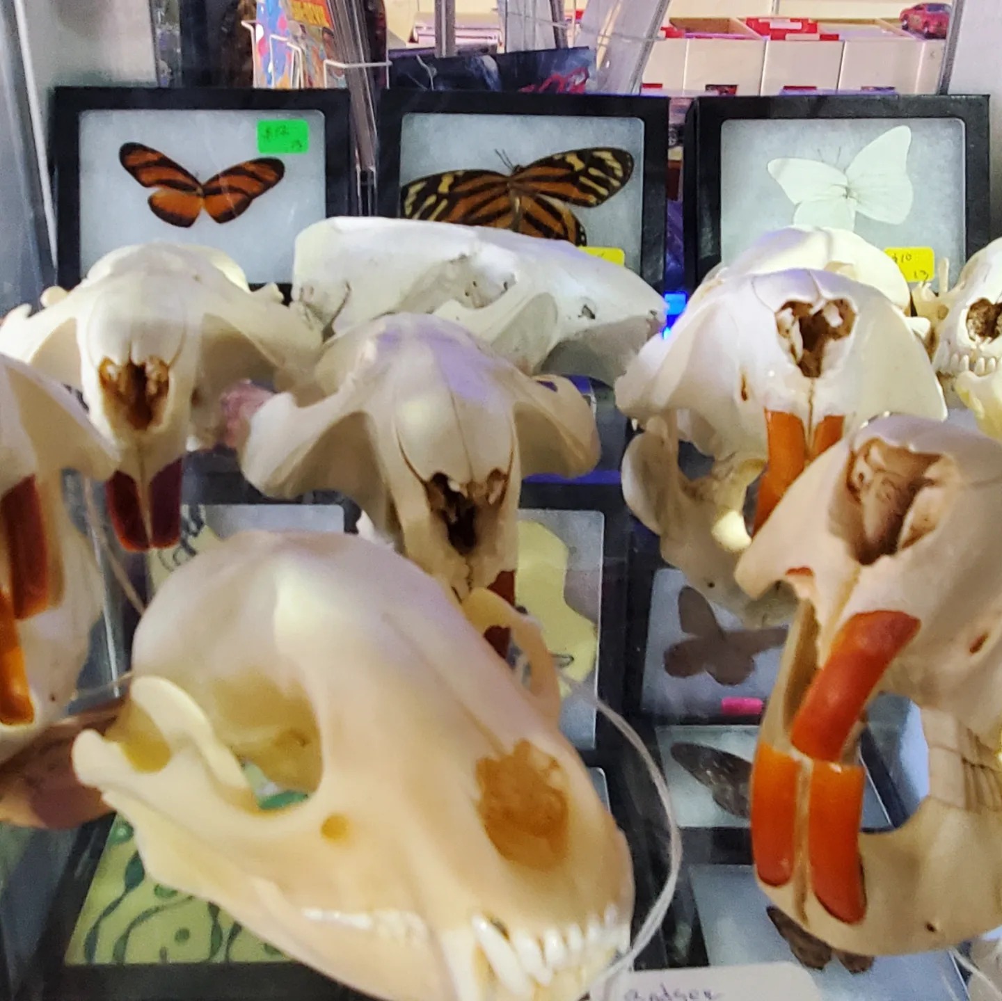 A332286886_701958864955344_2435424396998515345_n