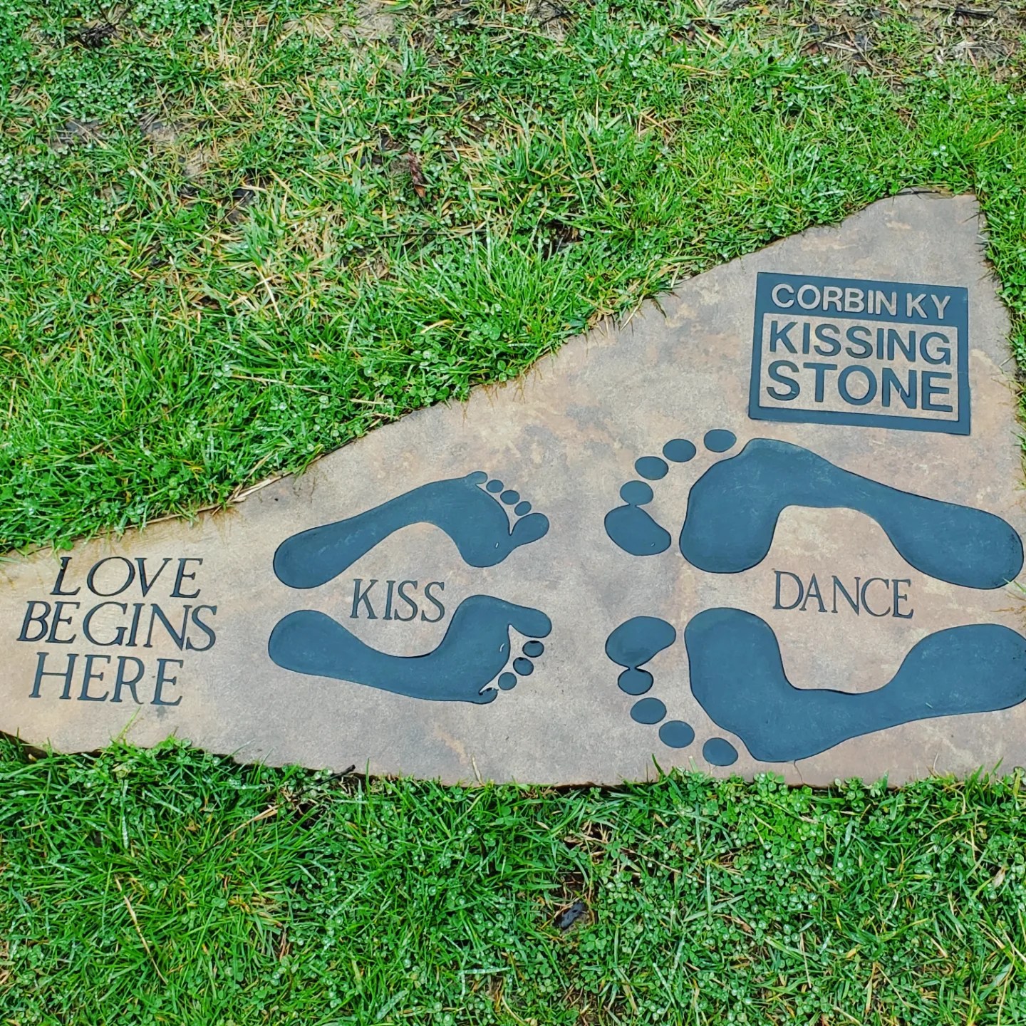 a333290167_1401288964021832_4338377004597177928_n