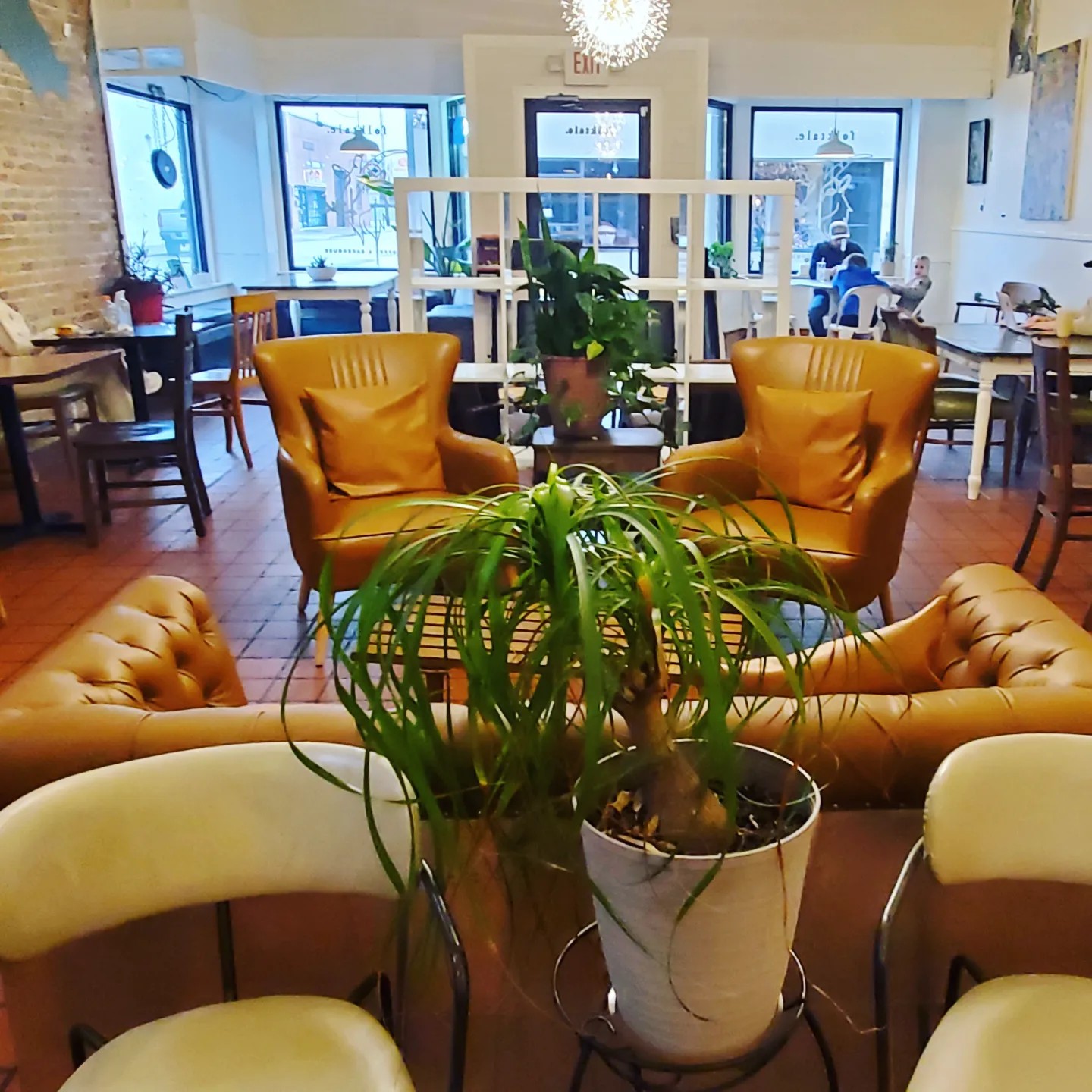 a333461105_620255642974334_1519591357971742051_n