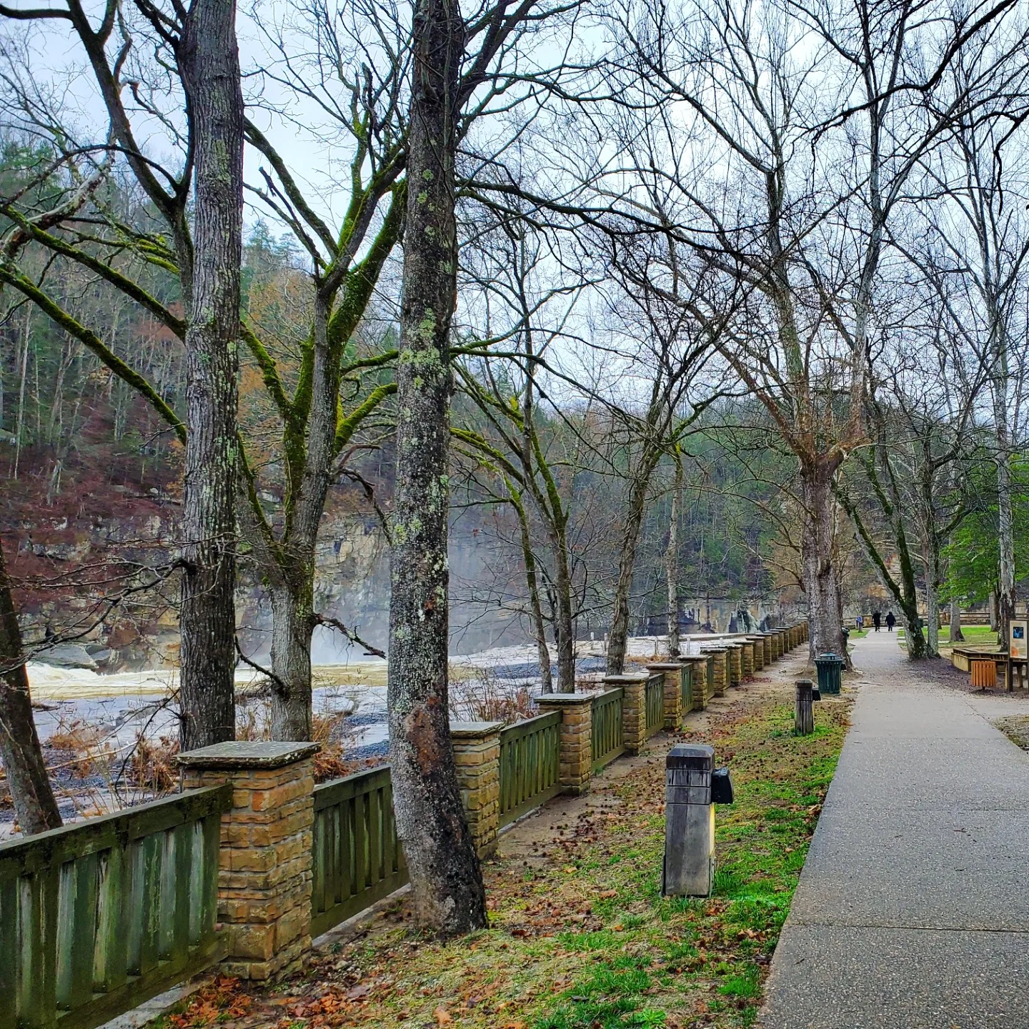 a333638770_231827719195695_4826518379379791902_n