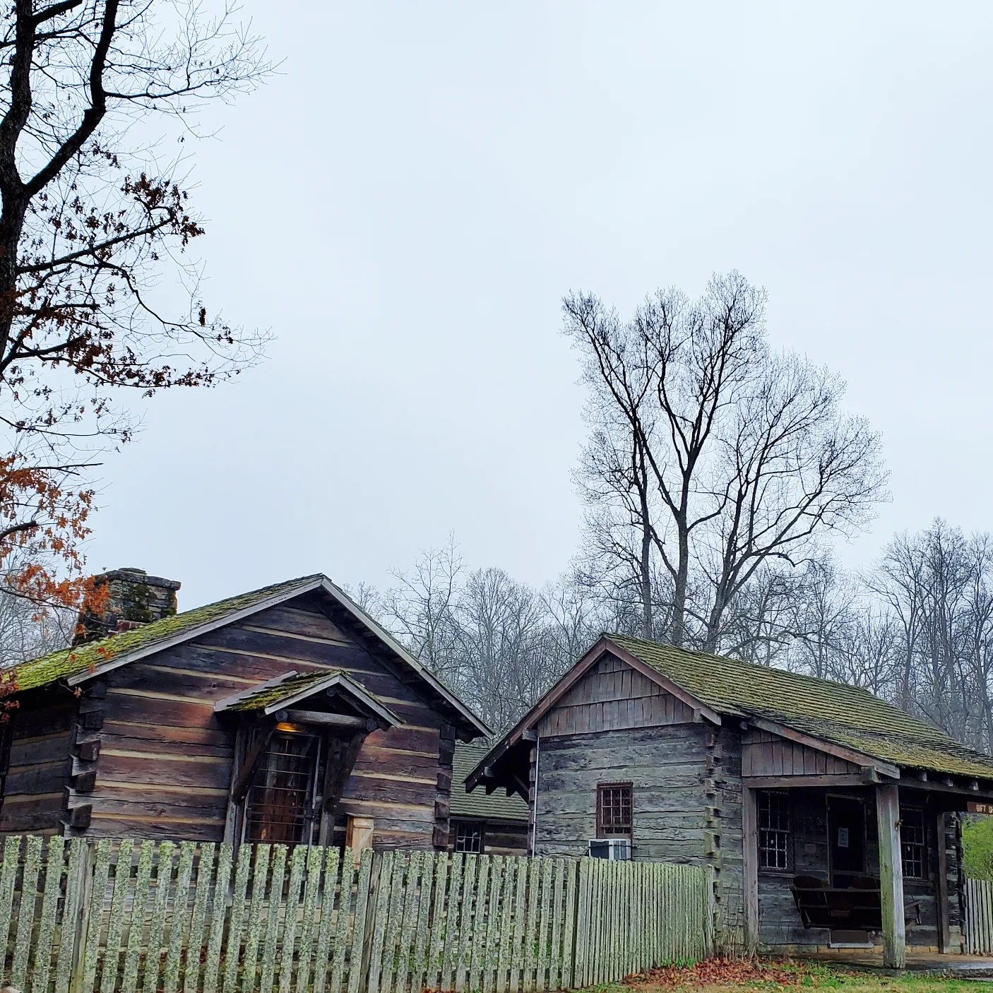 a333685923_755604862462997_656261316853070530_n