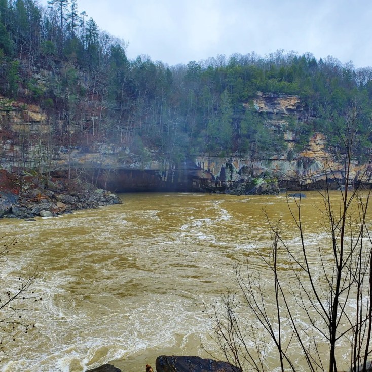 a333695805_219199050583031_425015590288562701_n