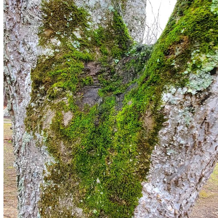 a333804181_239116091879155_3856748179455548372_n