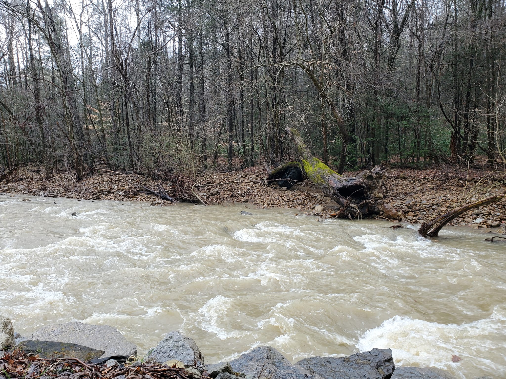 n332532778_871208727292069_11664696944488224_n